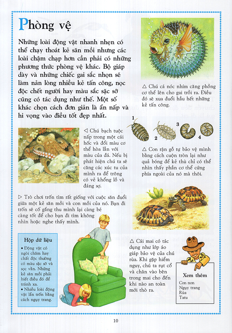 Bách Khoa Động Vật Cho Trẻ Em