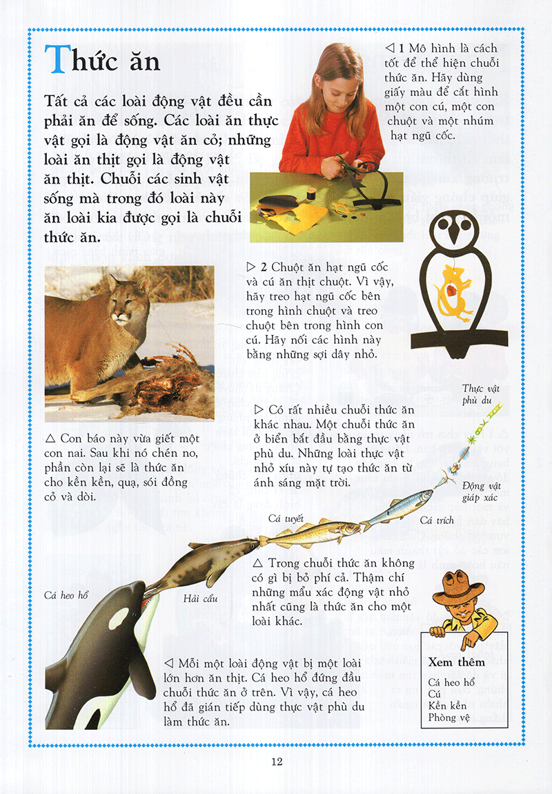 Bách Khoa Động Vật Cho Trẻ Em