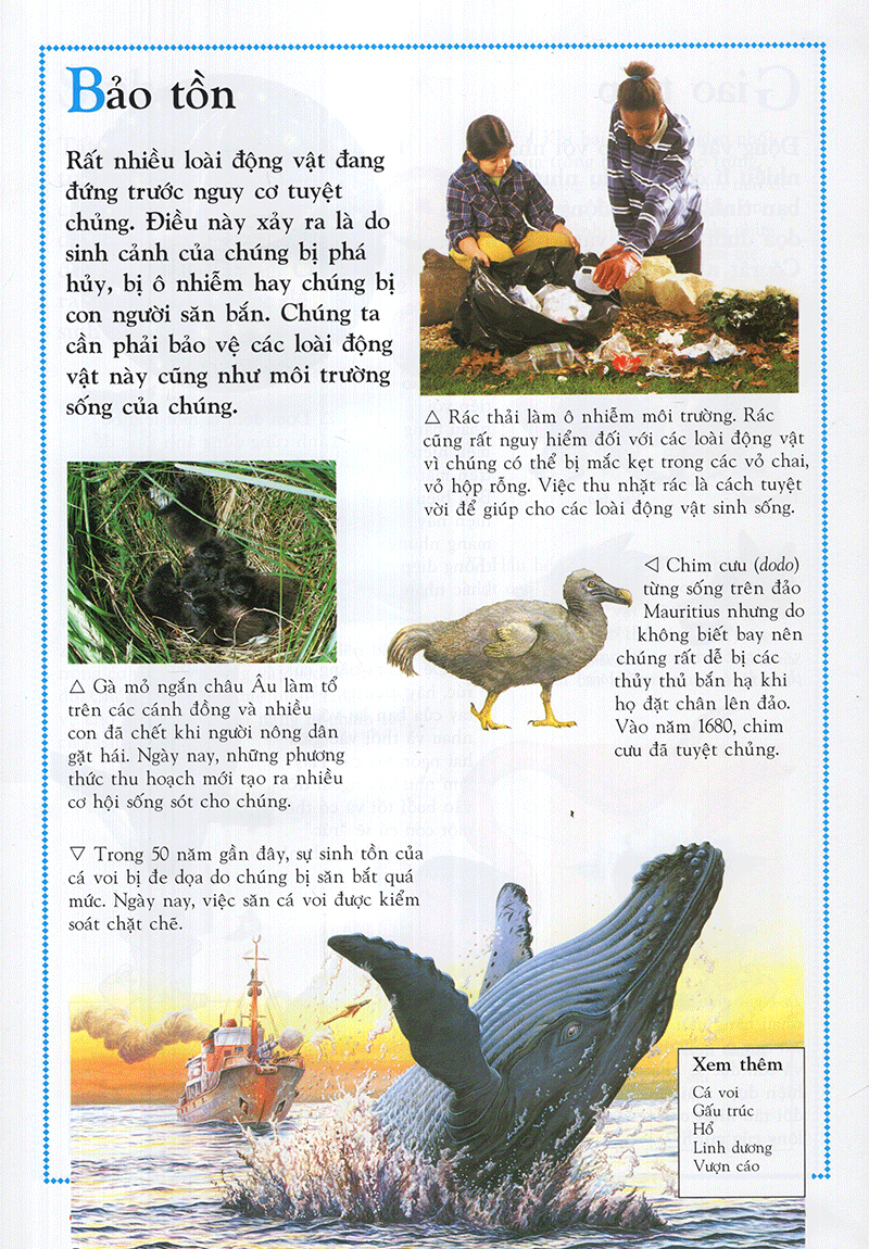 Bách Khoa Động Vật Cho Trẻ Em