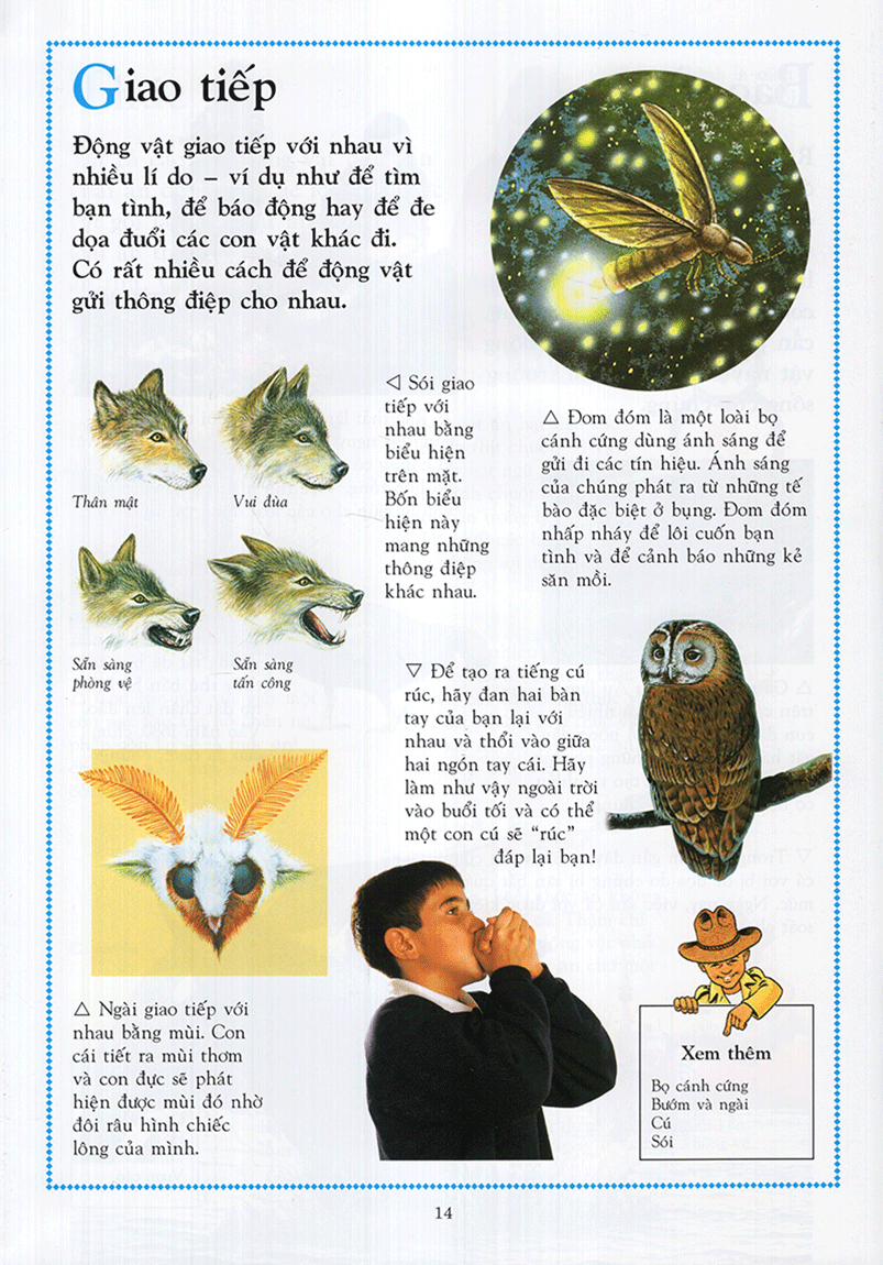 Bách Khoa Động Vật Cho Trẻ Em