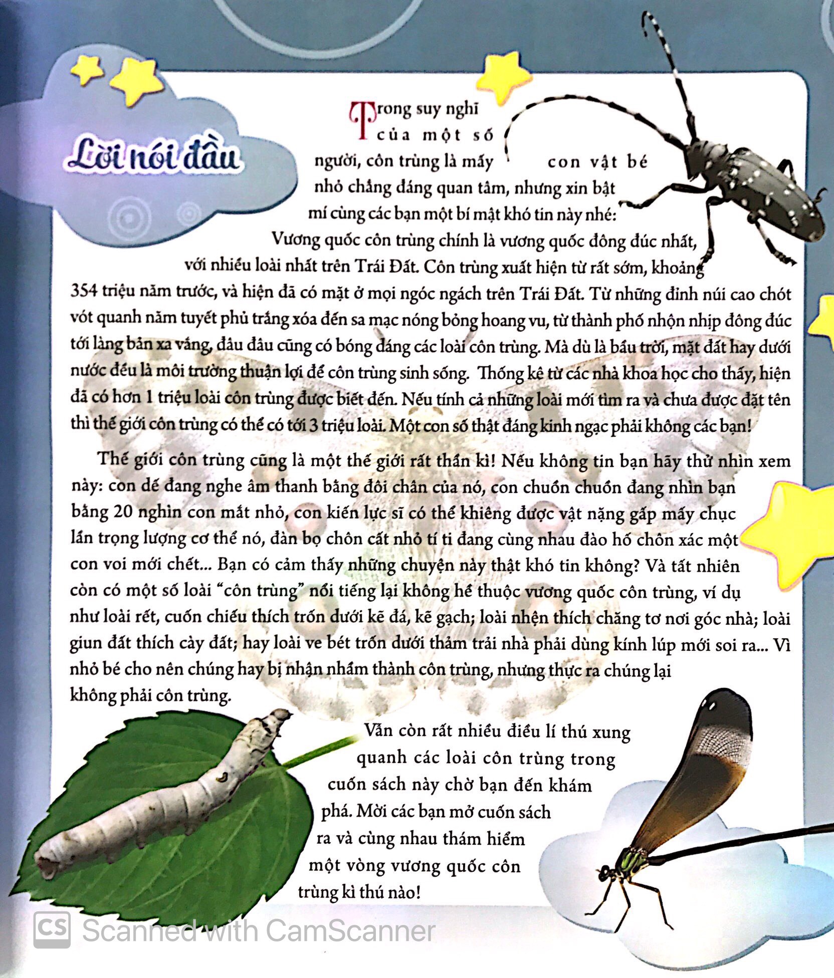 Bach Khoa Dong Vat Danh Cho Tre Nho - Con Trung (Tai Ban 2025)