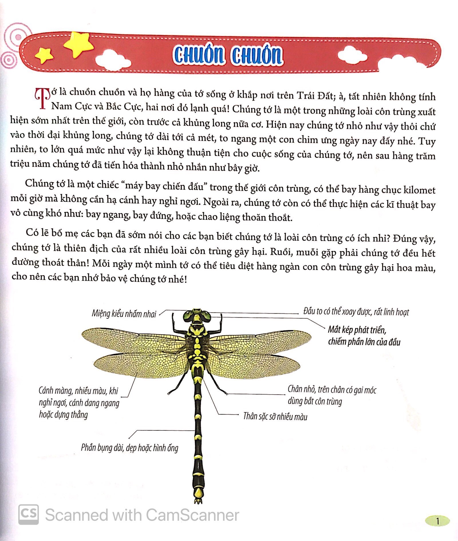 Bach Khoa Dong Vat Danh Cho Tre Nho - Con Trung (Tai Ban 2025)