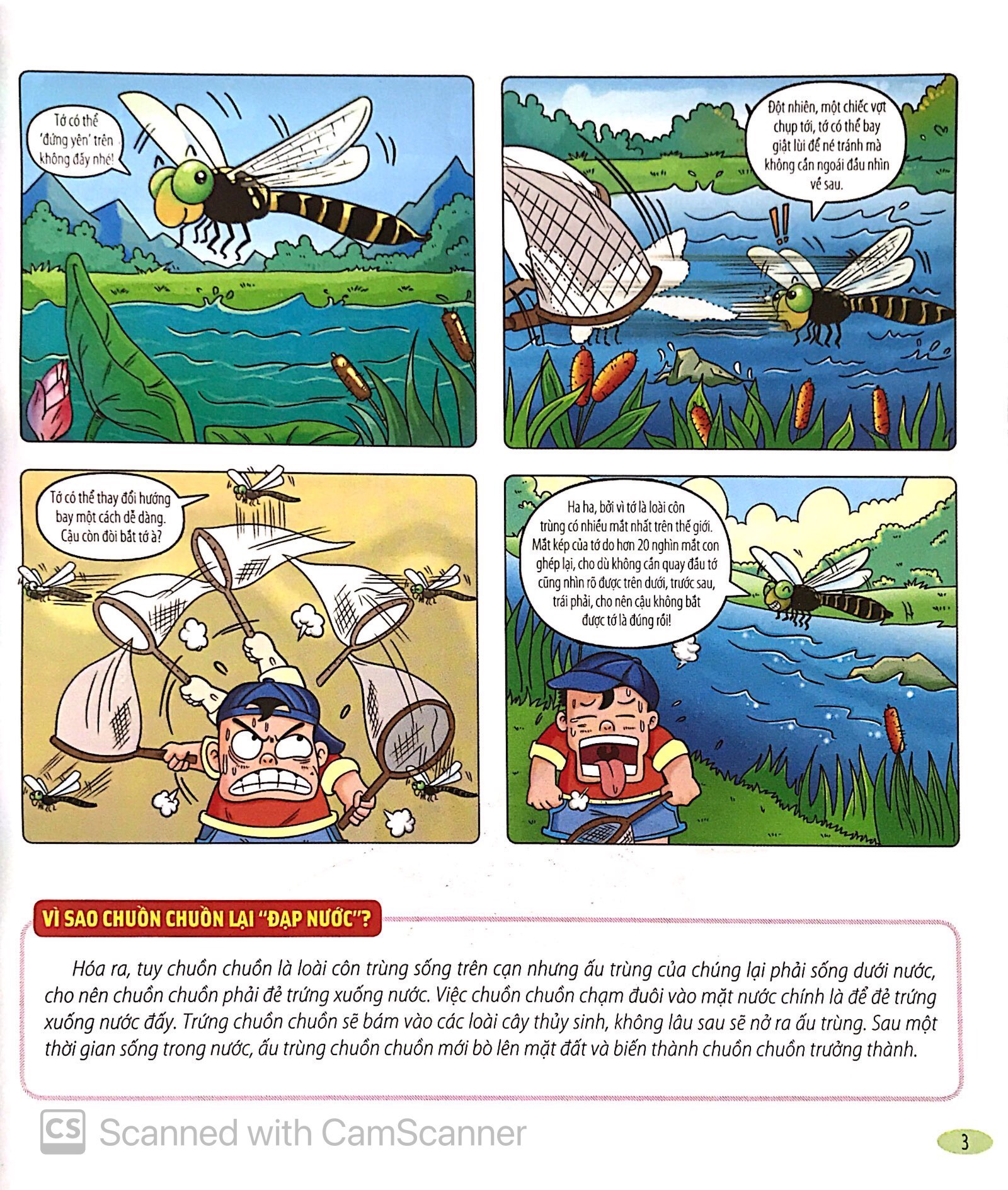 Bach Khoa Dong Vat Danh Cho Tre Nho - Con Trung (Tai Ban 2025)