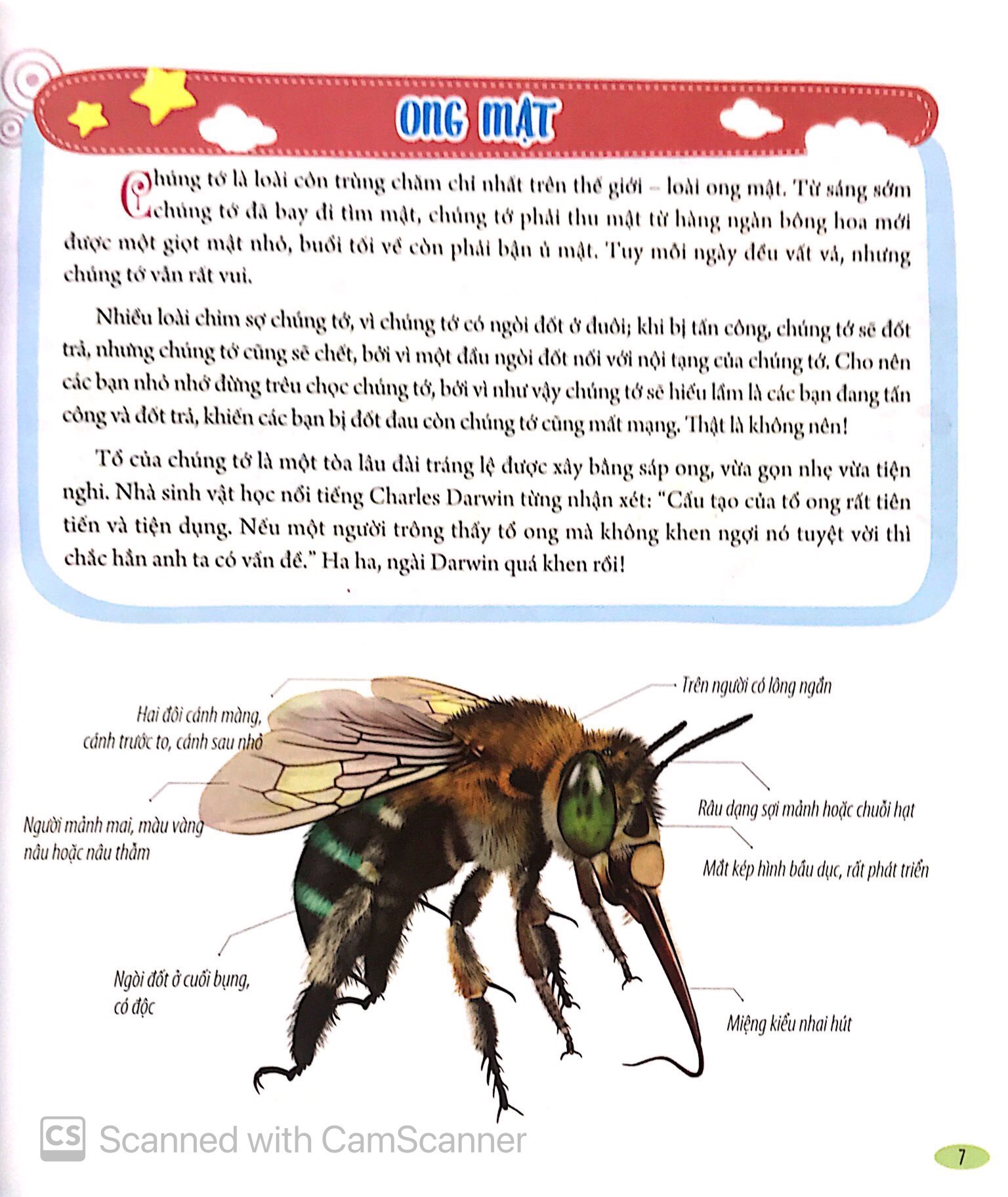 Bach Khoa Dong Vat Danh Cho Tre Nho - Con Trung (Tai Ban 2025)