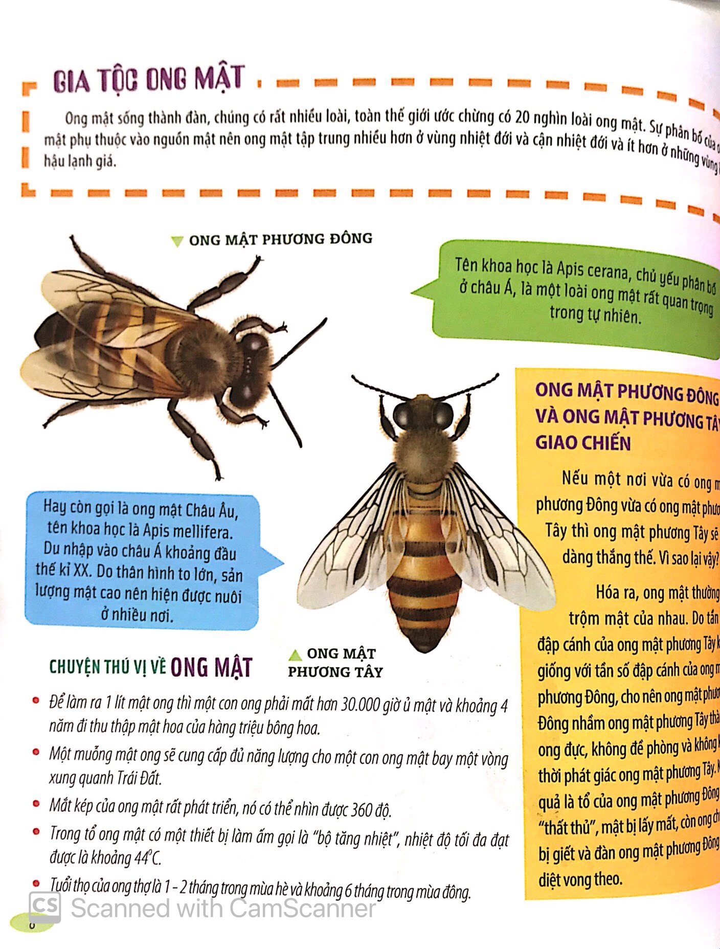 Bach Khoa Dong Vat Danh Cho Tre Nho - Con Trung (Tai Ban 2025)