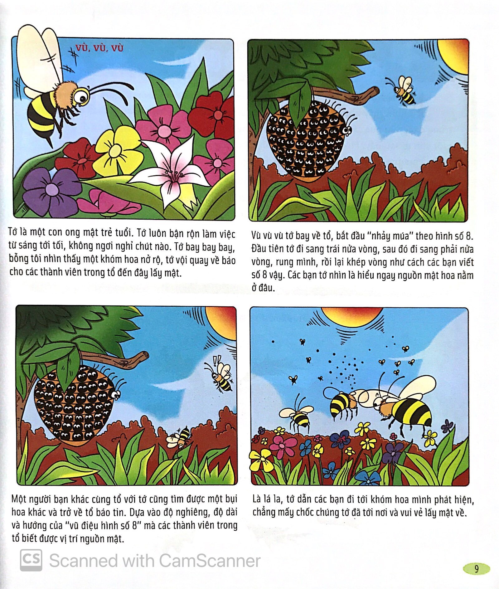 Bach Khoa Dong Vat Danh Cho Tre Nho - Con Trung (Tai Ban 2025)