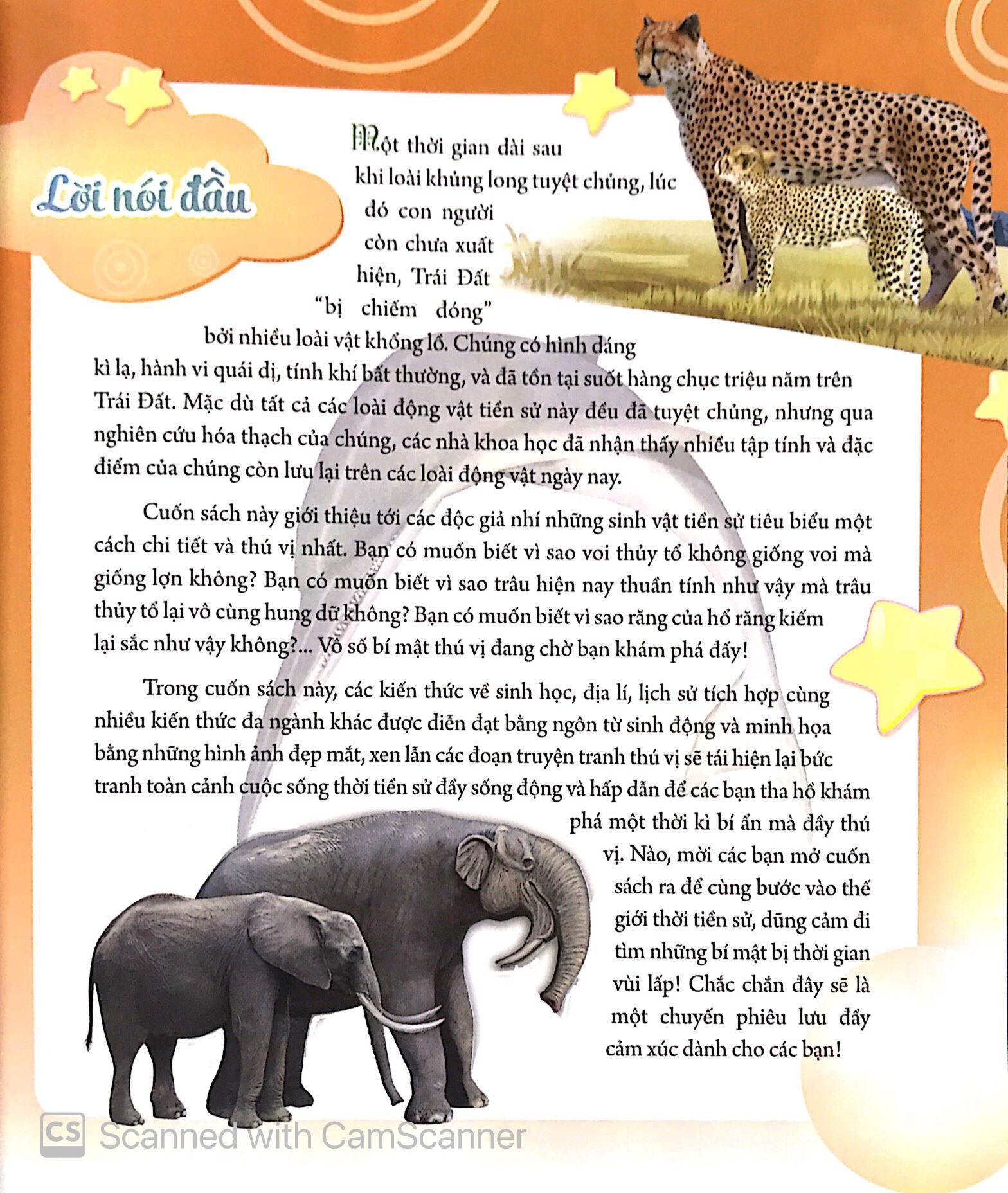 Bách Khoa Động Vật Dành Cho Trẻ Nhỏ - Động Vật Tiền Sử (Tái Bản 2025)