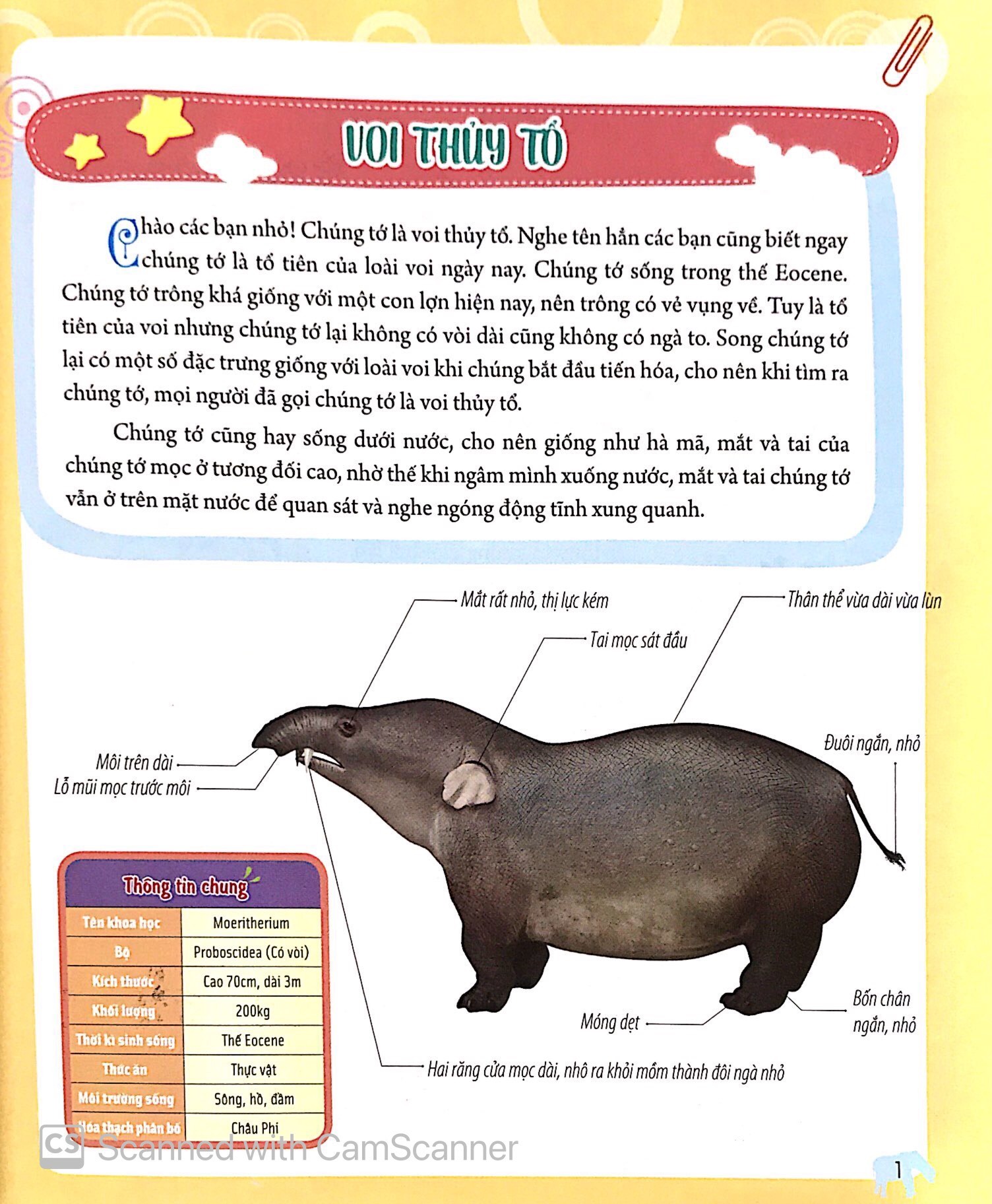 Bách Khoa Động Vật Dành Cho Trẻ Nhỏ - Động Vật Tiền Sử (Tái Bản 2025)