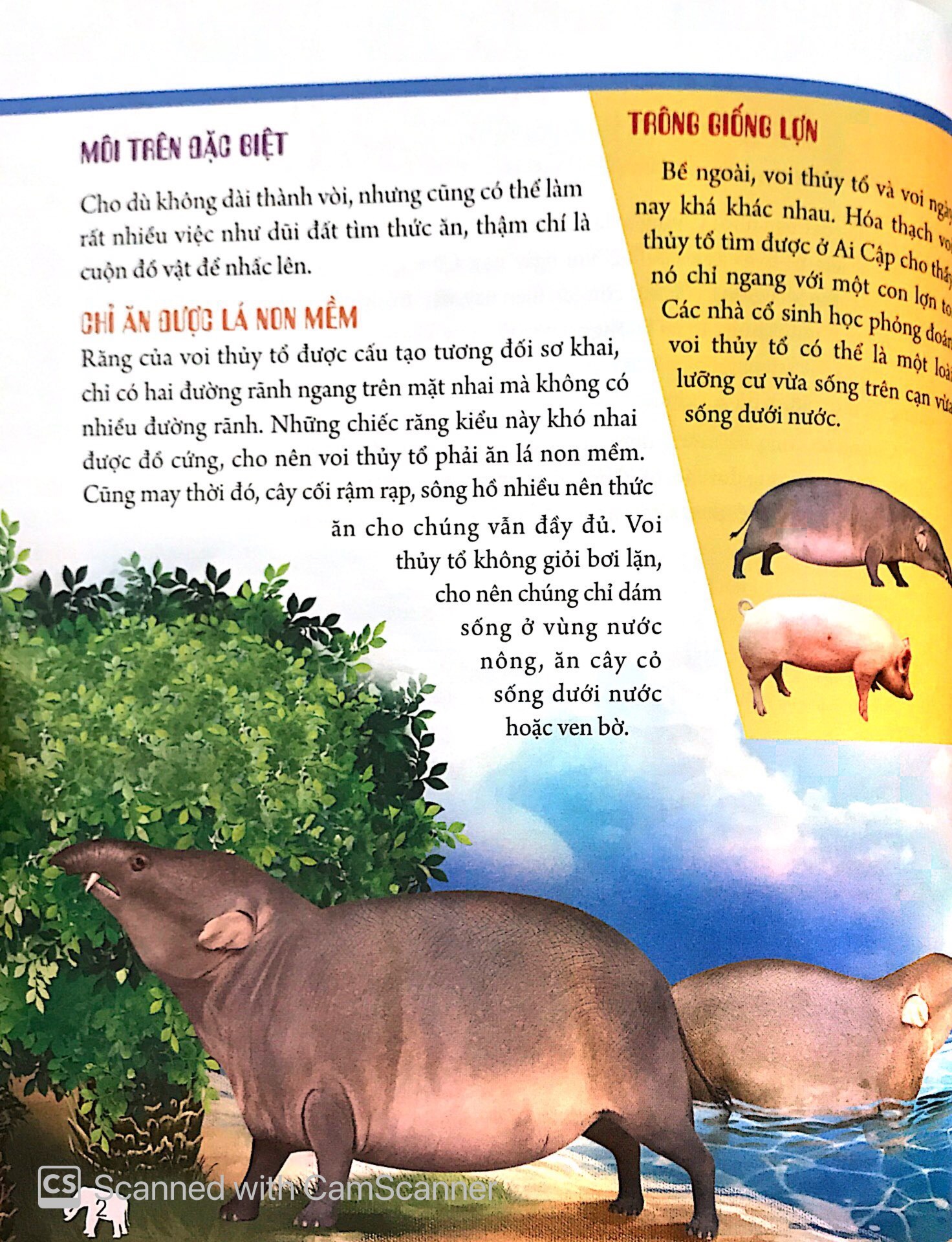 Bách Khoa Động Vật Dành Cho Trẻ Nhỏ - Động Vật Tiền Sử (Tái Bản 2025)