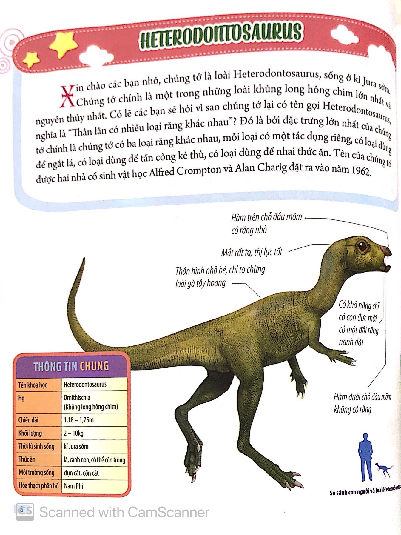 Bach Khoa Dong Vat Danh Cho Tre Nho - Khung Long (Tai Ban 2025)