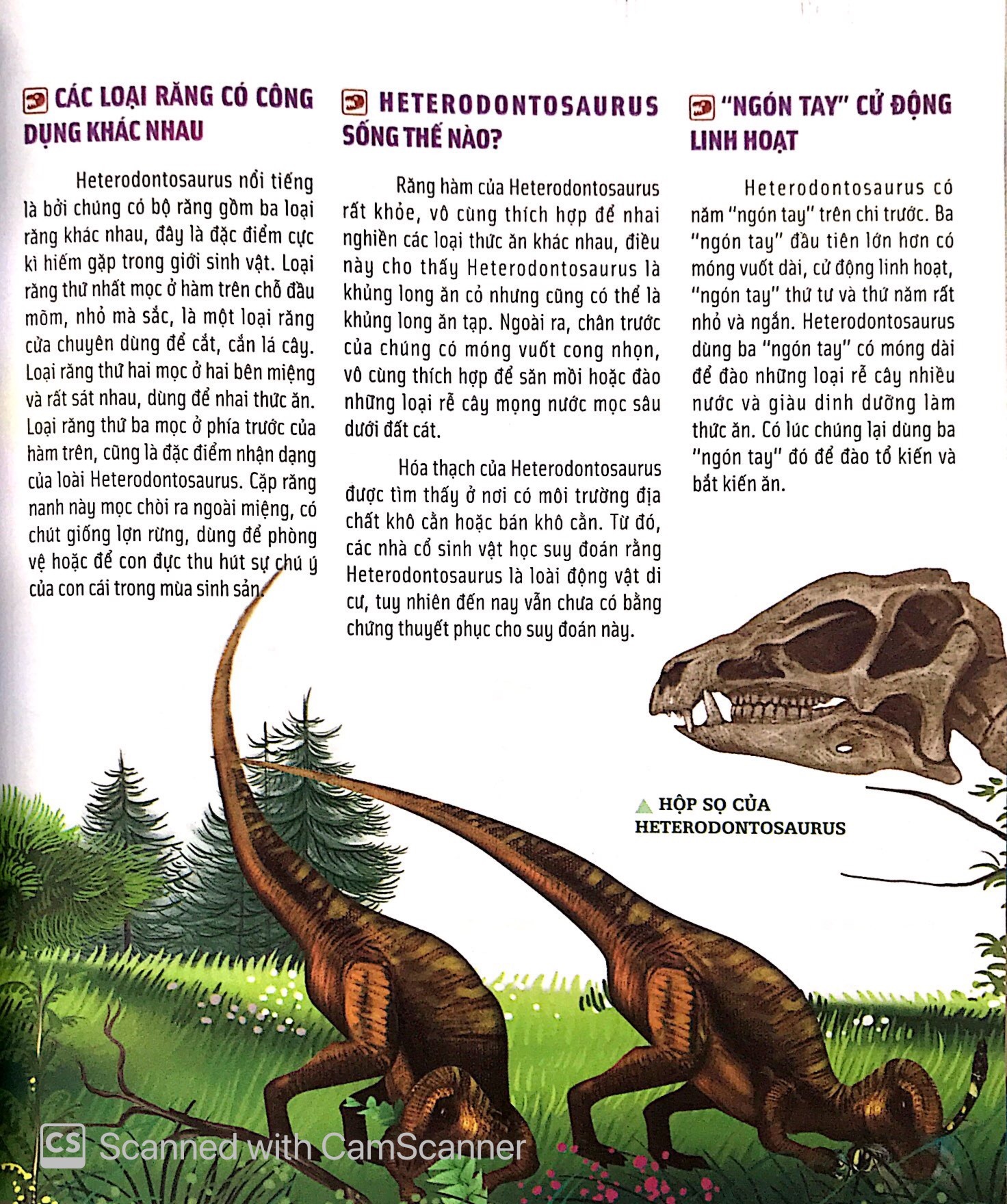 Bach Khoa Dong Vat Danh Cho Tre Nho - Khung Long (Tai Ban 2025)