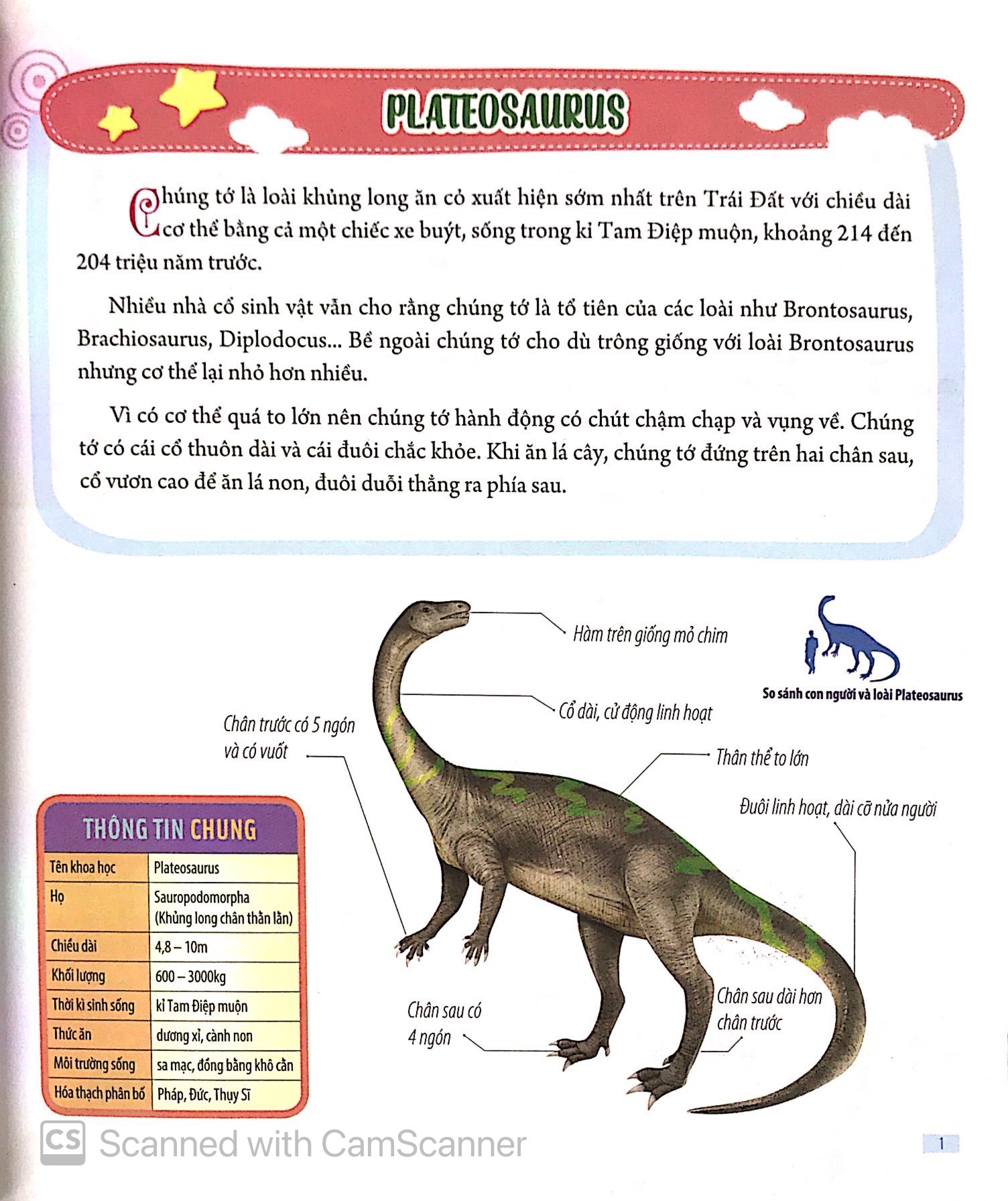 Bach Khoa Dong Vat Danh Cho Tre Nho - Khung Long (Tai Ban 2025)