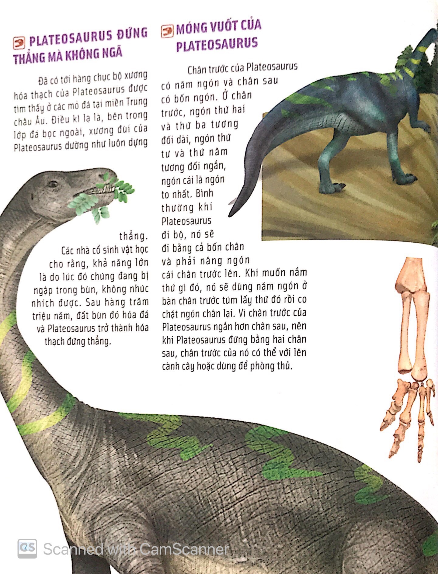 Bach Khoa Dong Vat Danh Cho Tre Nho - Khung Long (Tai Ban 2025)