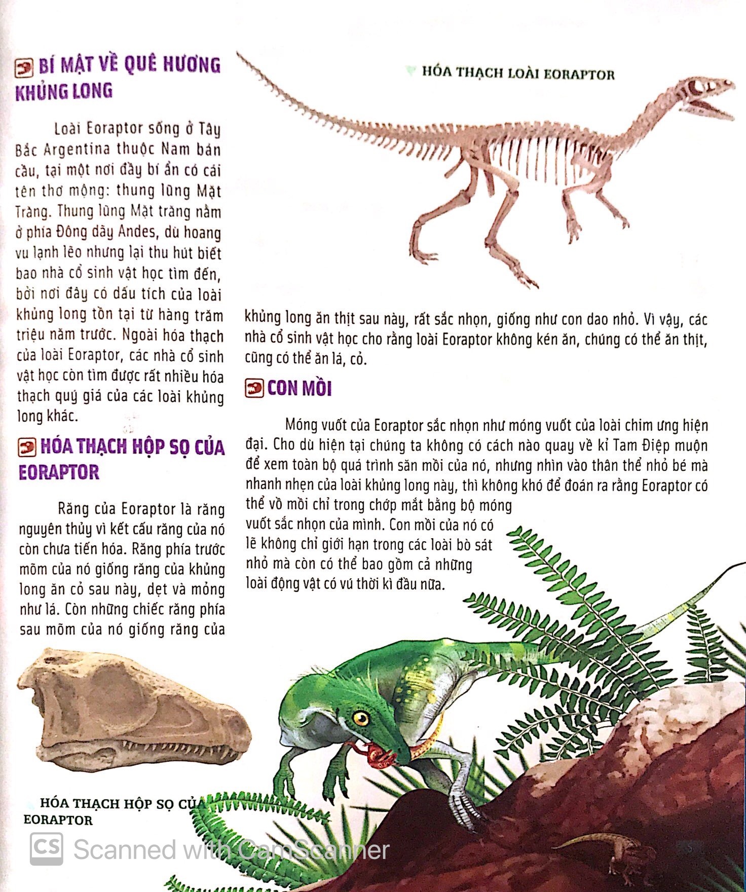 Bach Khoa Dong Vat Danh Cho Tre Nho - Khung Long (Tai Ban 2025)