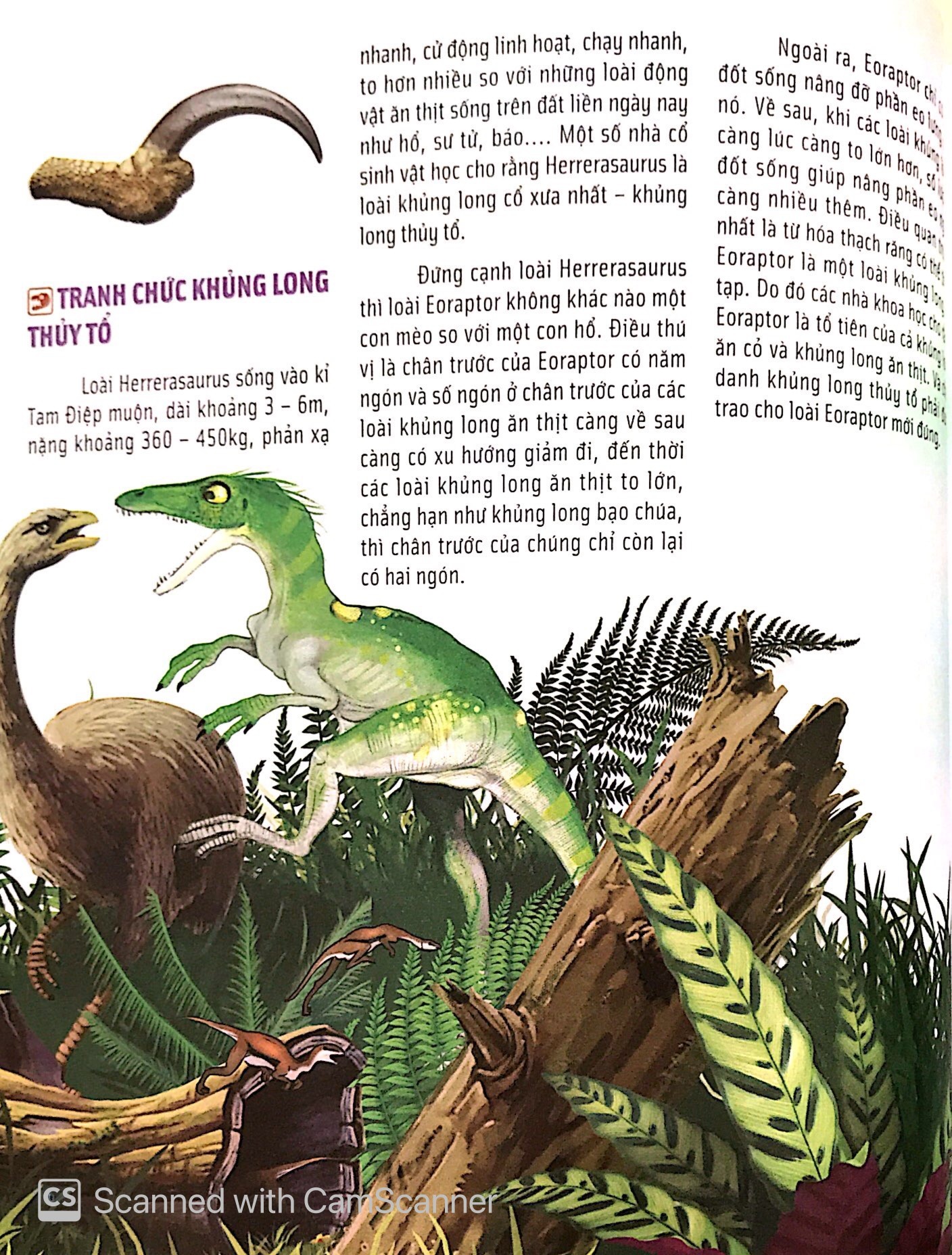 Bach Khoa Dong Vat Danh Cho Tre Nho - Khung Long (Tai Ban 2025)