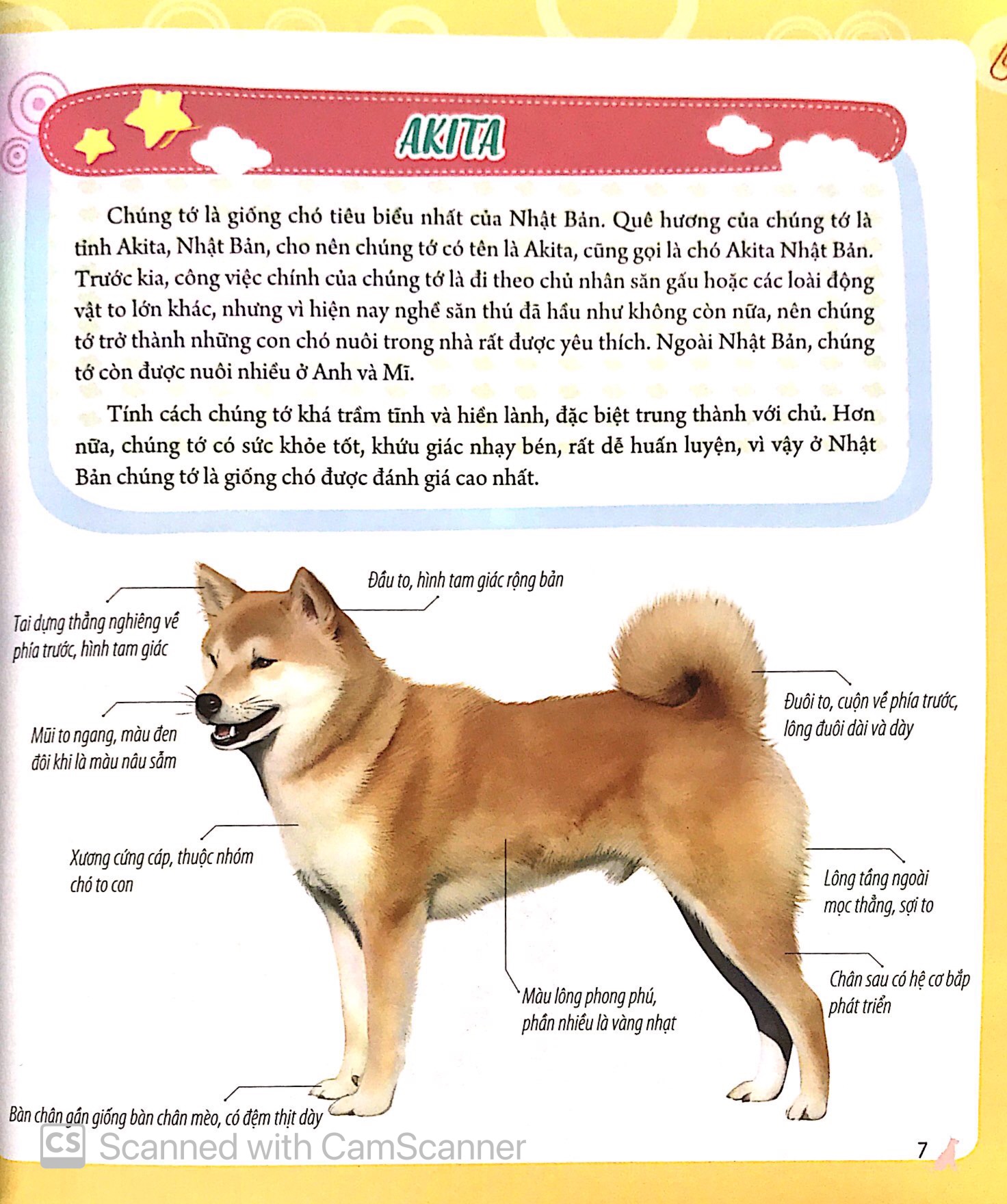 bách khoa động vật dành cho trẻ nhỏ - thú cưng