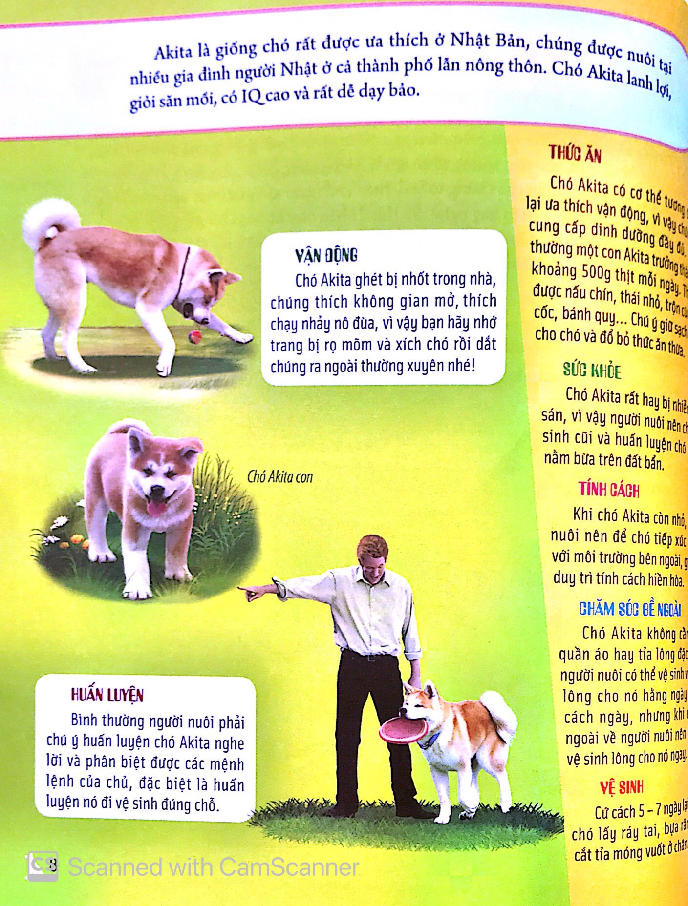 bách khoa động vật dành cho trẻ nhỏ - thú cưng