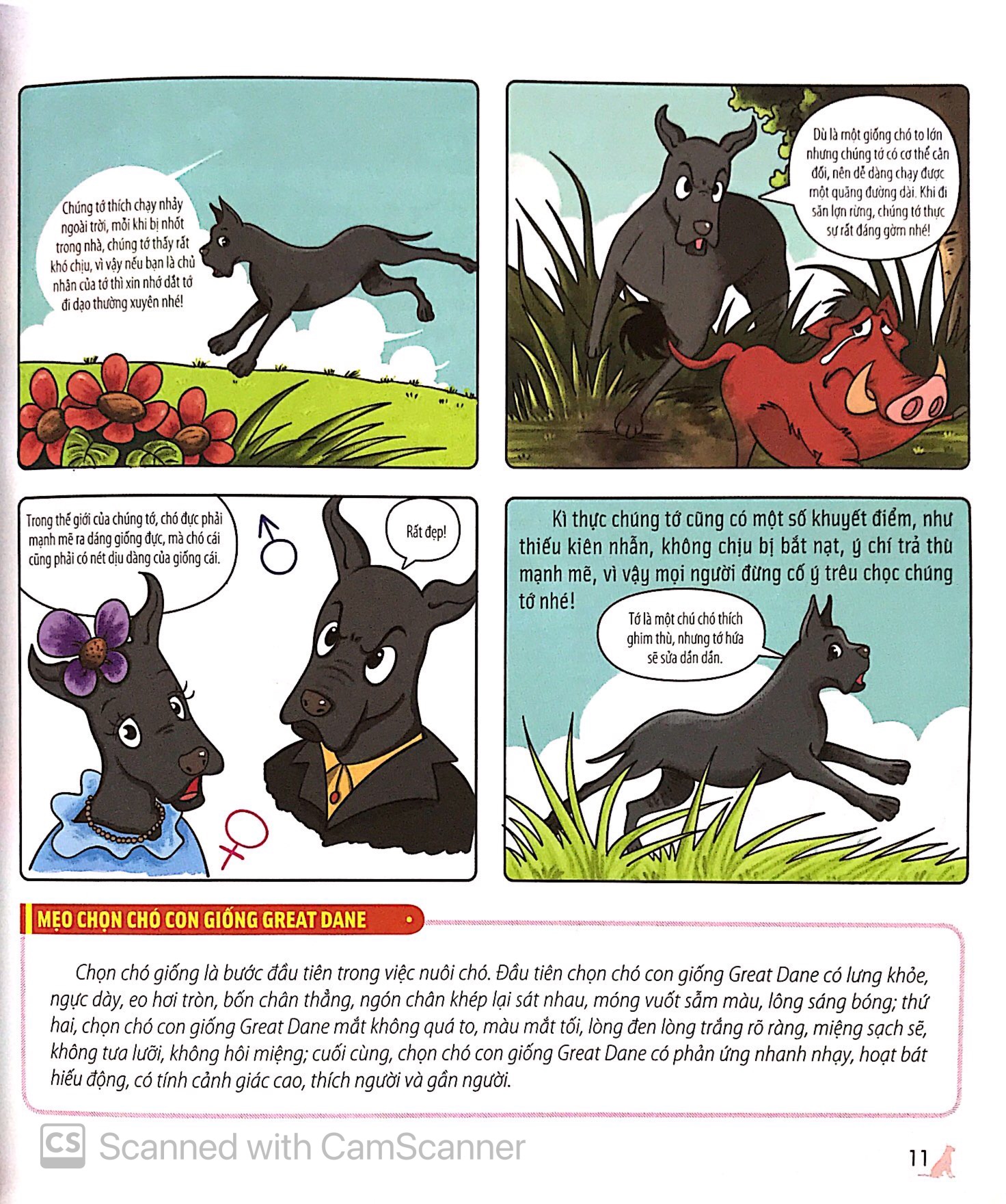 bách khoa động vật dành cho trẻ nhỏ - thú cưng