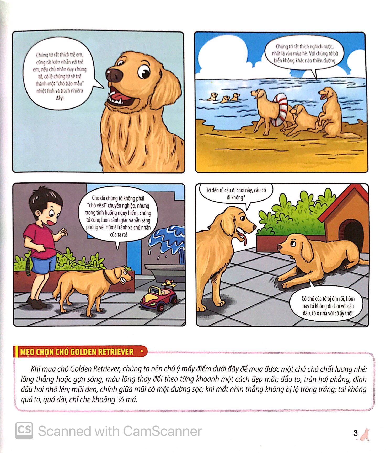 bách khoa động vật dành cho trẻ nhỏ - thú cưng