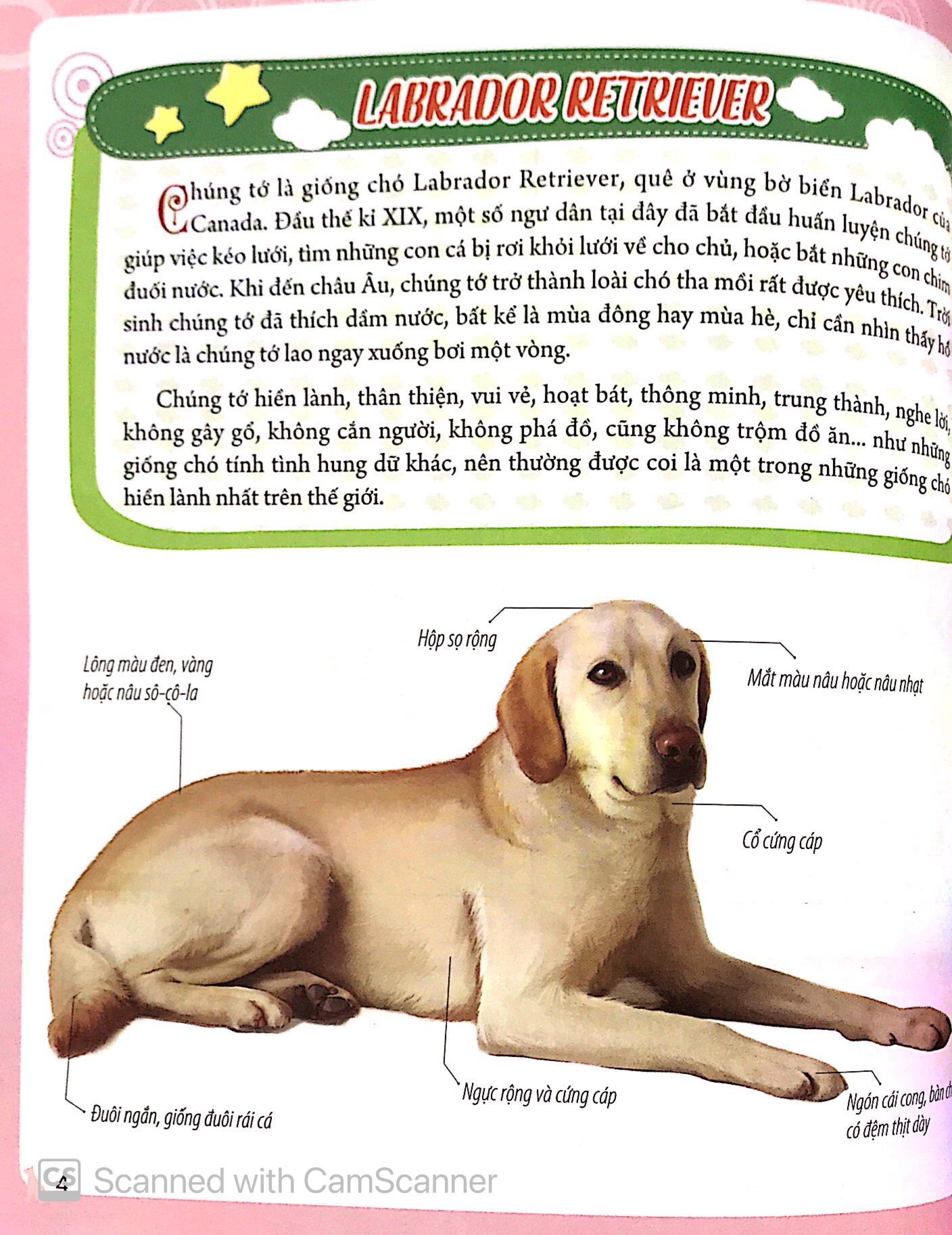 bách khoa động vật dành cho trẻ nhỏ - thú cưng