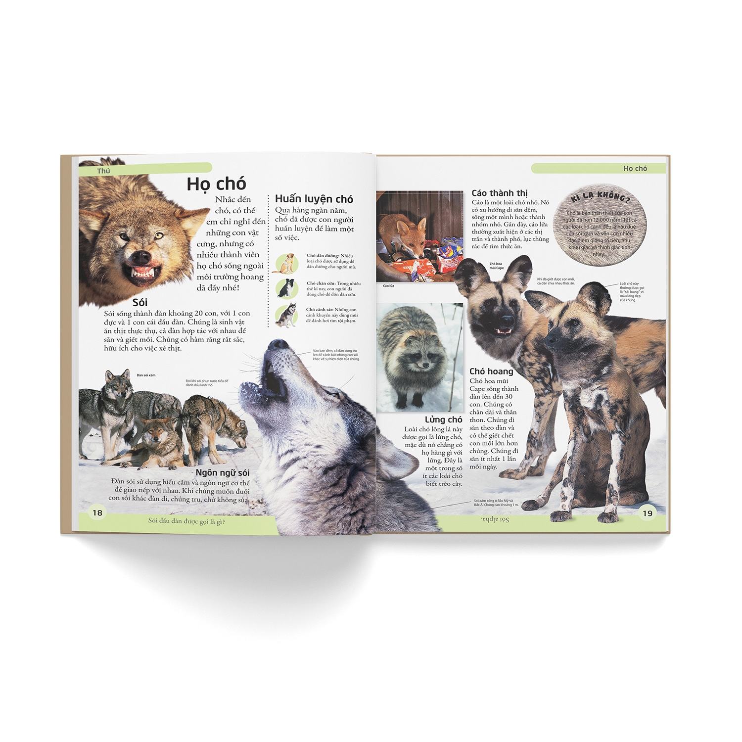 bách khoa động vật - mở mang kiến thức, khơi dậy tiềm năng (tái bản 2021)