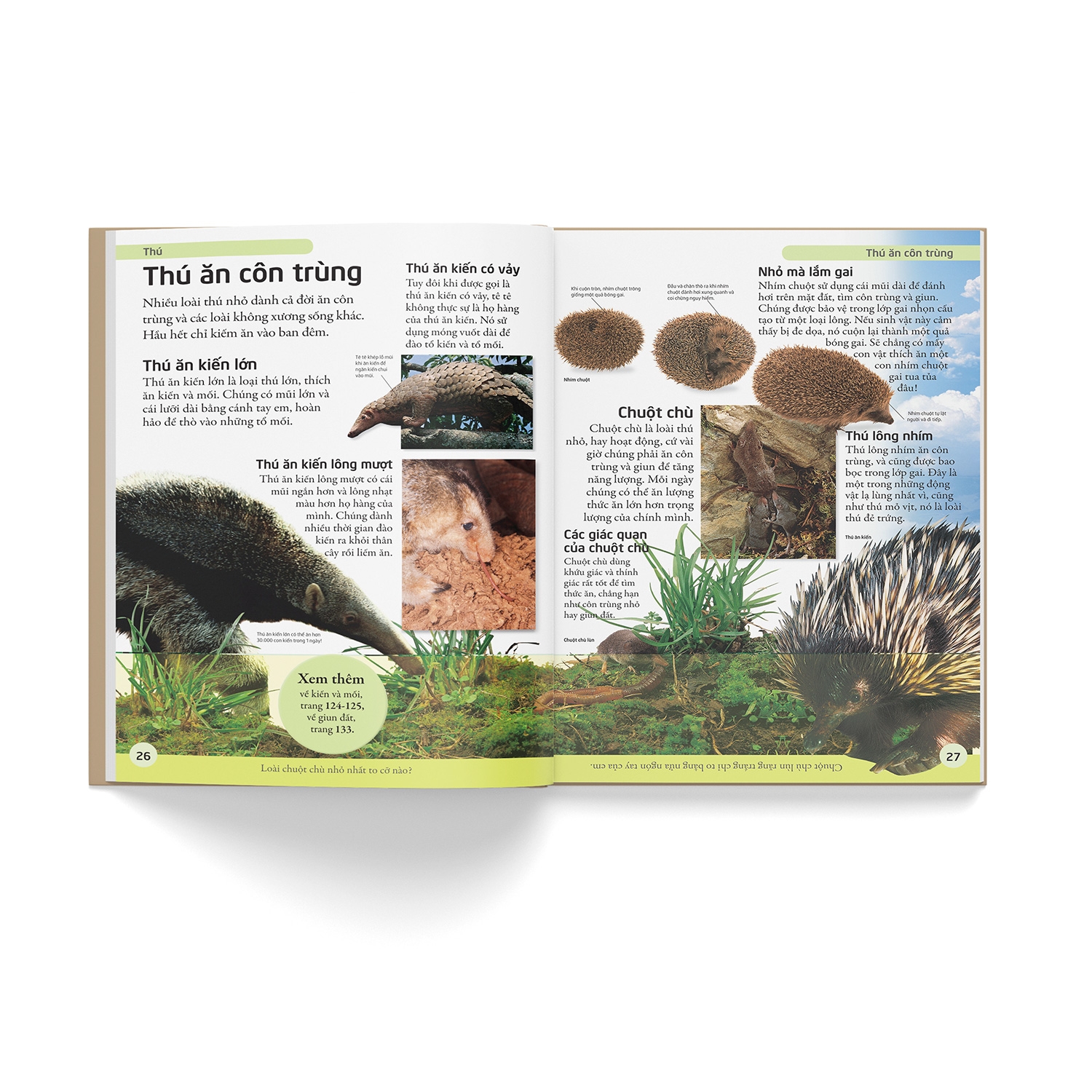 bách khoa động vật - mở mang kiến thức, khơi dậy tiềm năng (tái bản 2021)