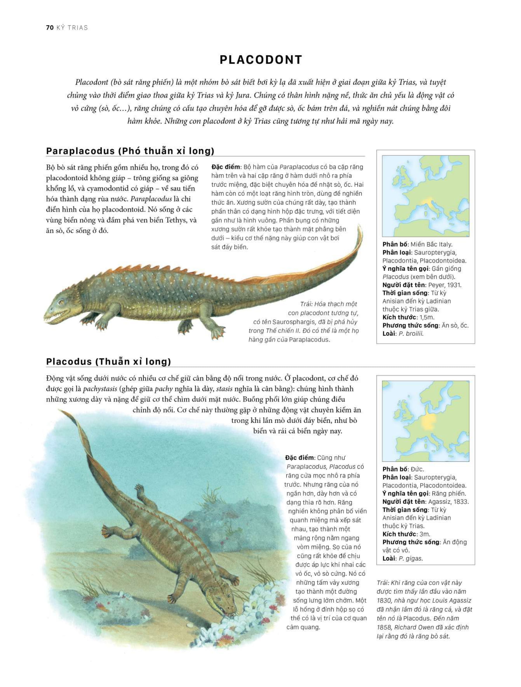 bách khoa khủng long toàn tập - bìa cứng