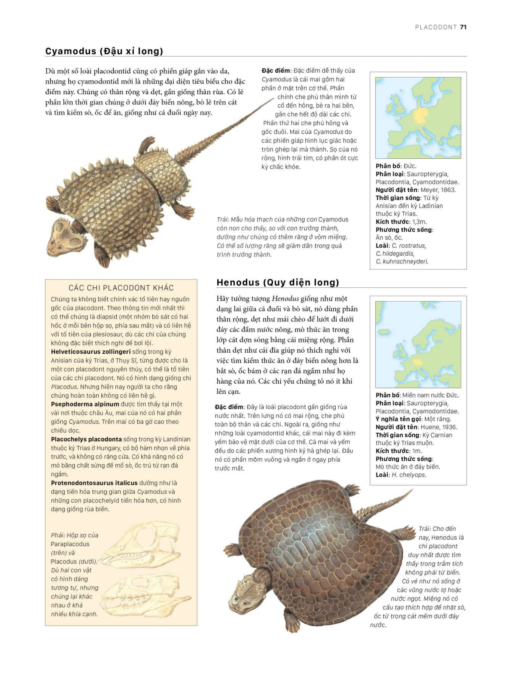 bách khoa khủng long toàn tập - bìa cứng