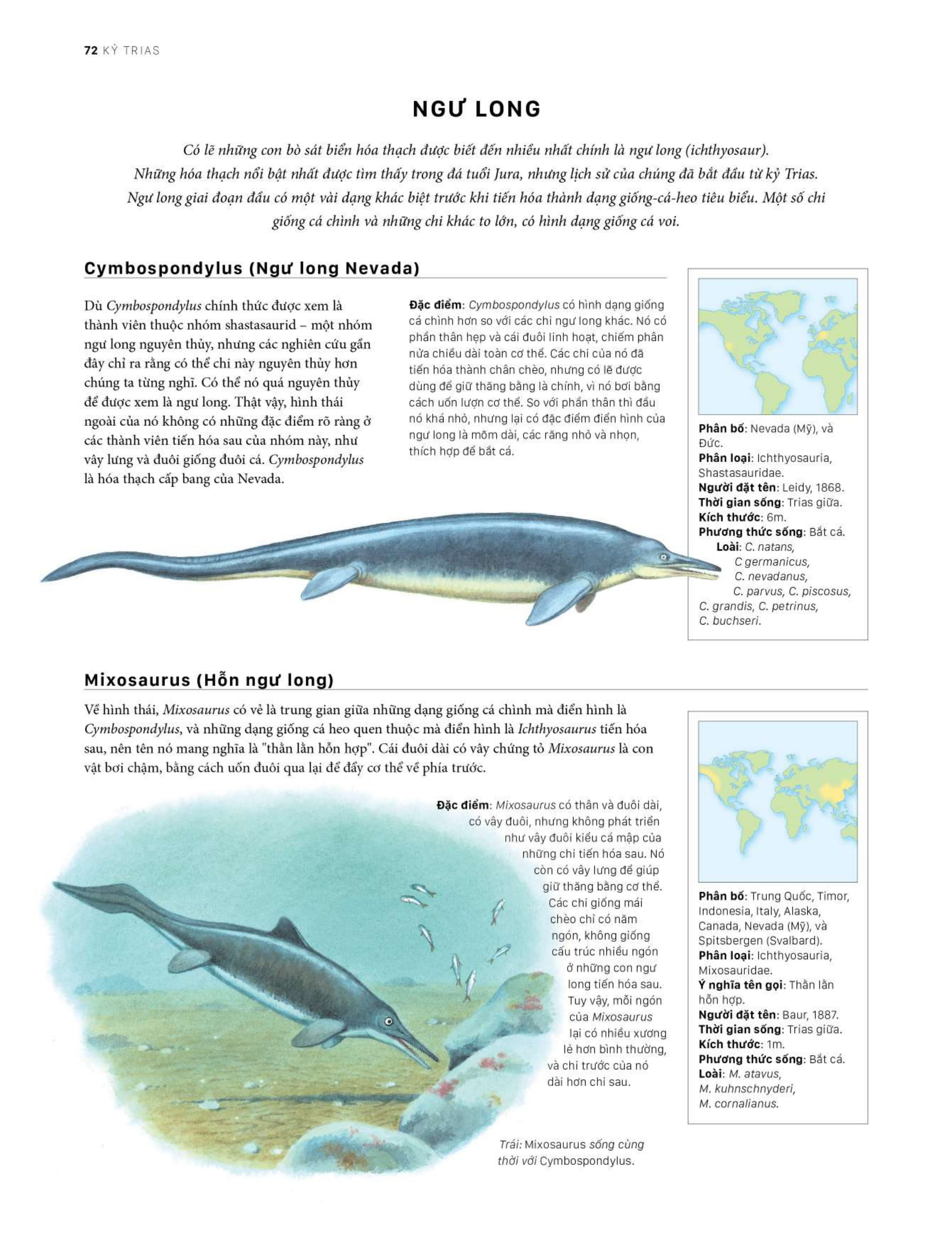 bách khoa khủng long toàn tập - bìa cứng