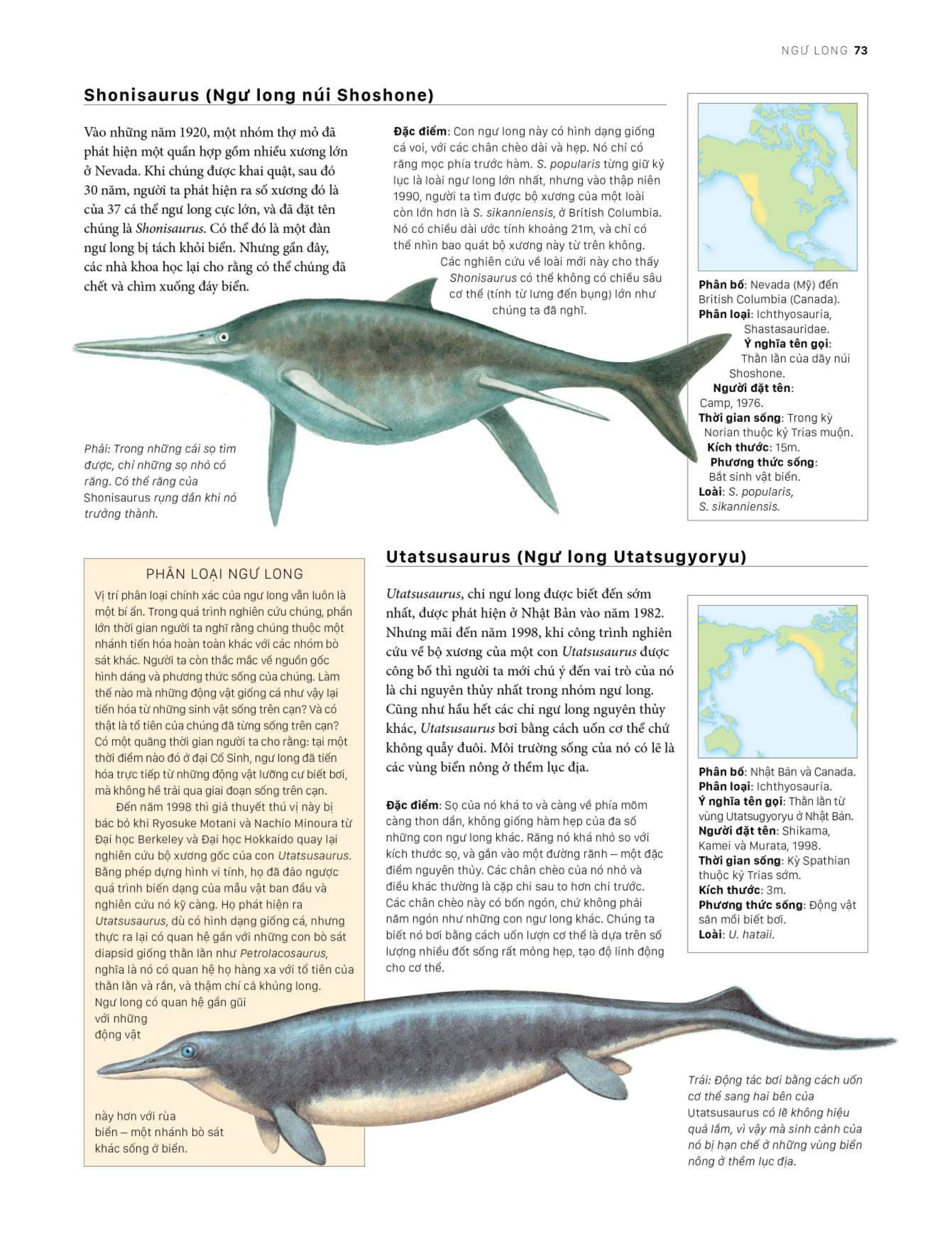 bách khoa khủng long toàn tập - bìa cứng