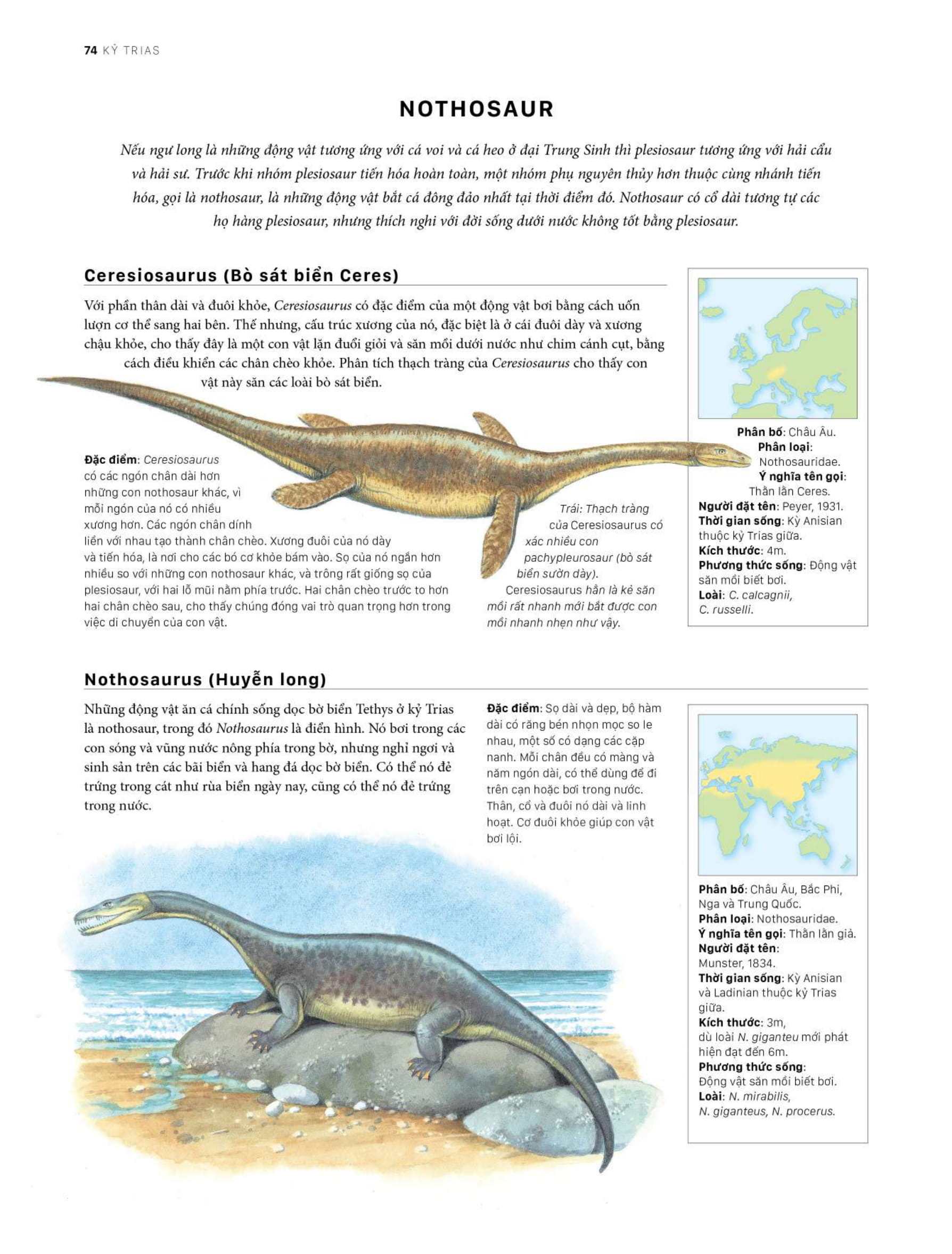 bách khoa khủng long toàn tập - bìa cứng