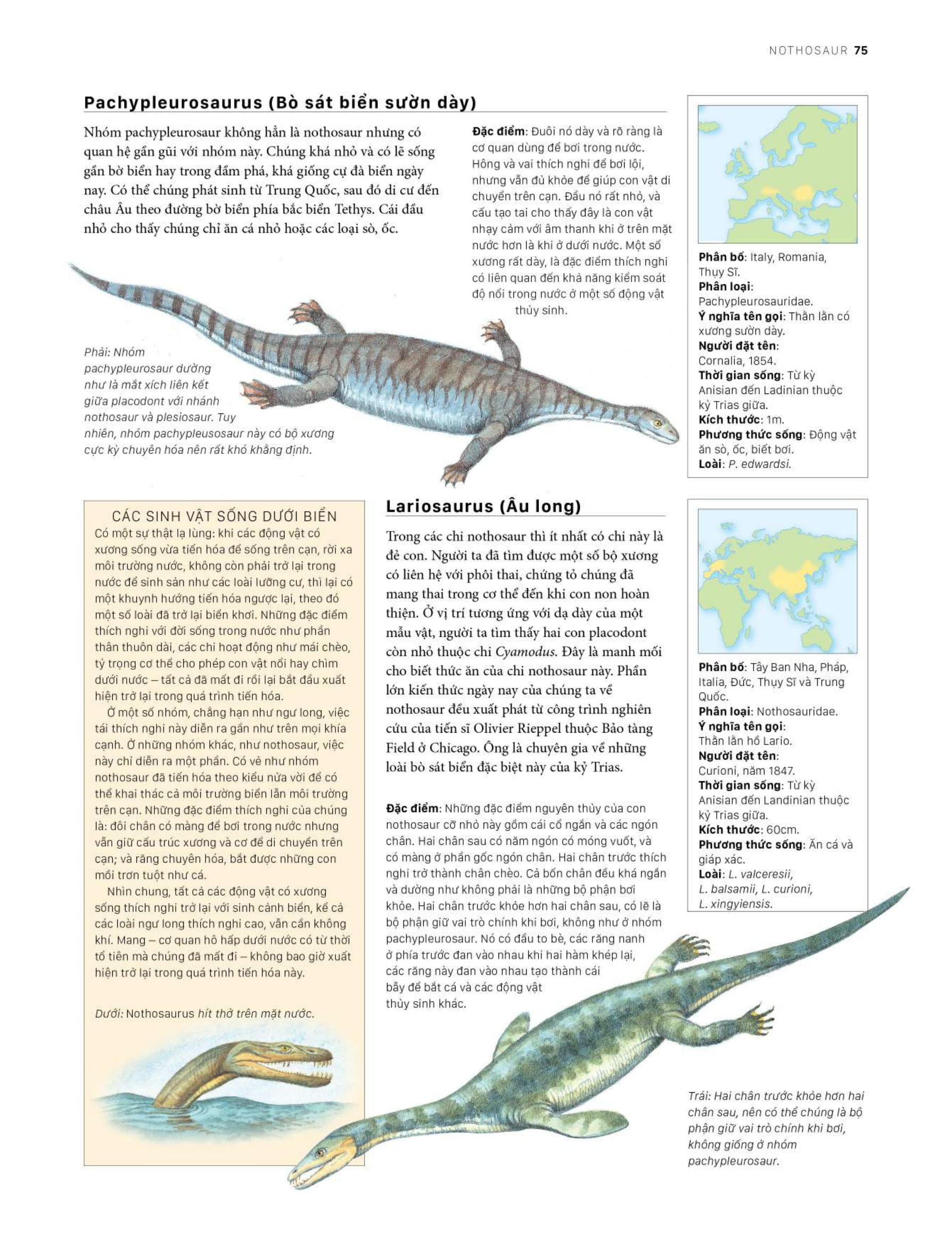 bách khoa khủng long toàn tập - bìa cứng