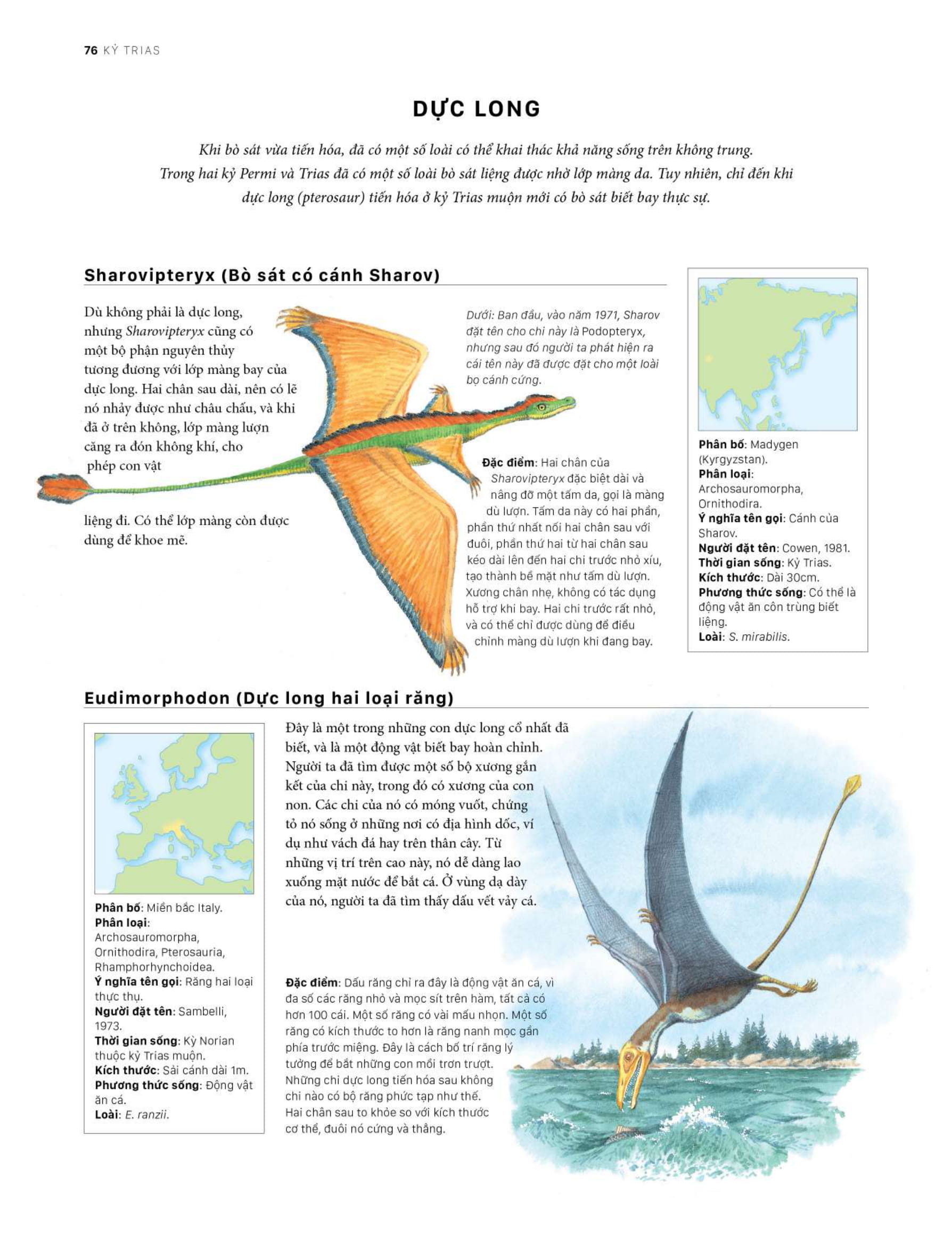 bách khoa khủng long toàn tập - bìa cứng