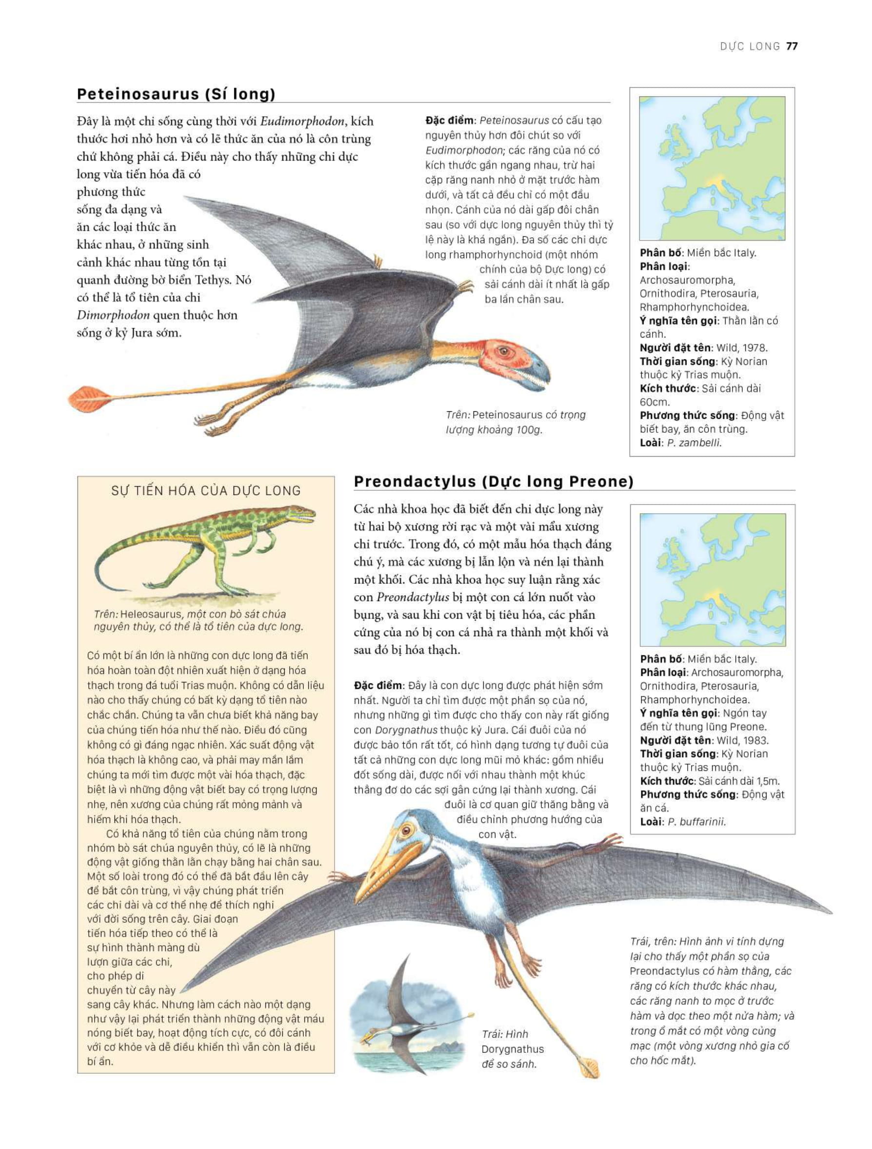 bách khoa khủng long toàn tập - bìa cứng