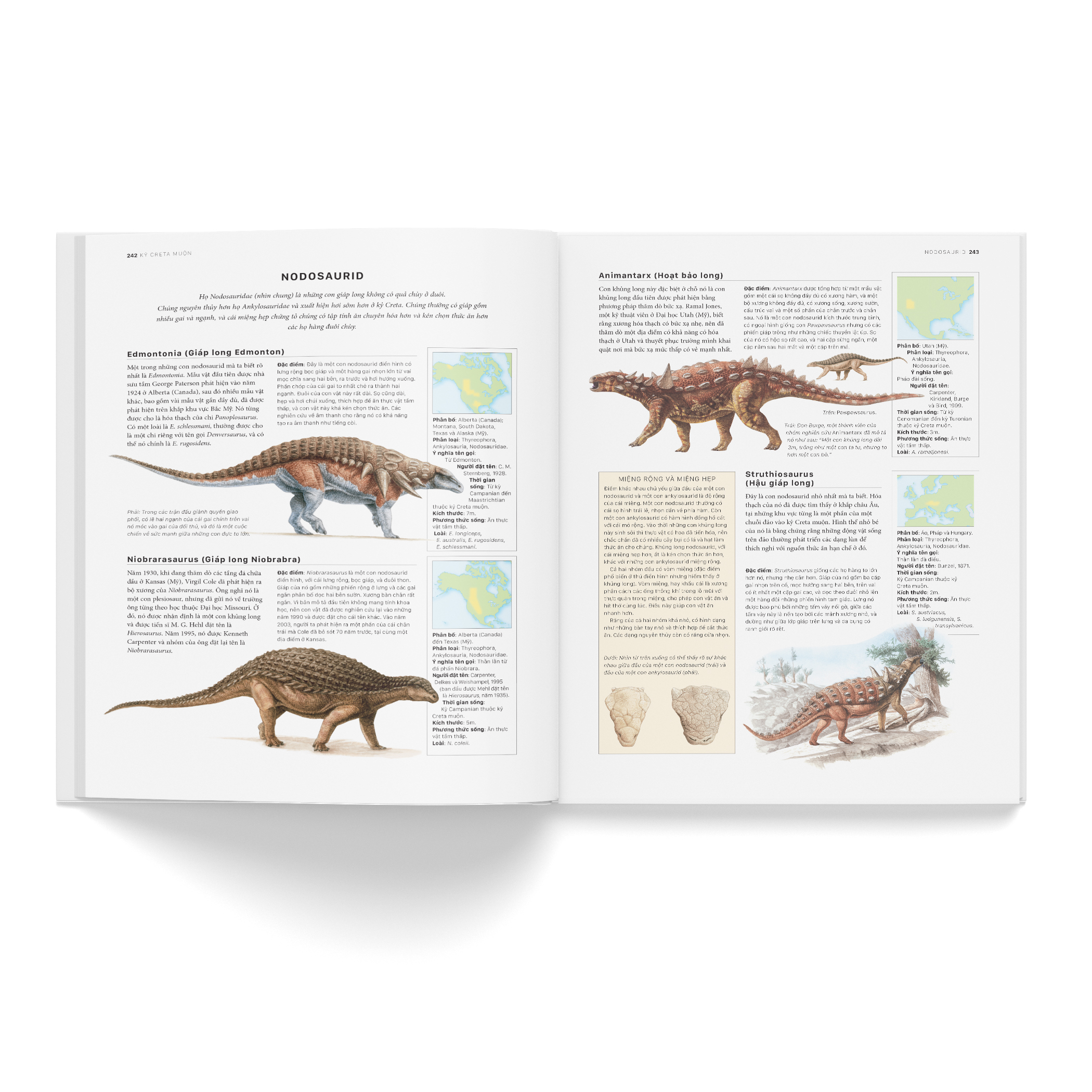 bách khoa khủng long toàn tập - bìa cứng