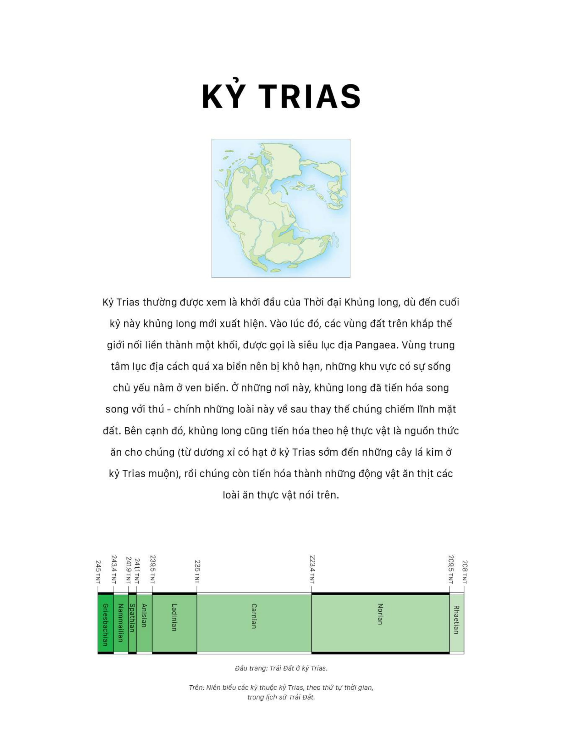 bách khoa khủng long toàn tập - bìa cứng