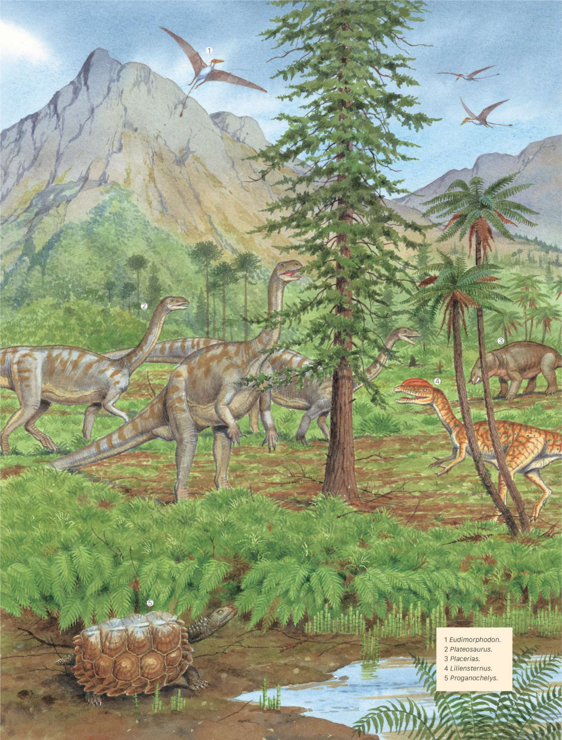 bách khoa khủng long toàn tập - bìa cứng