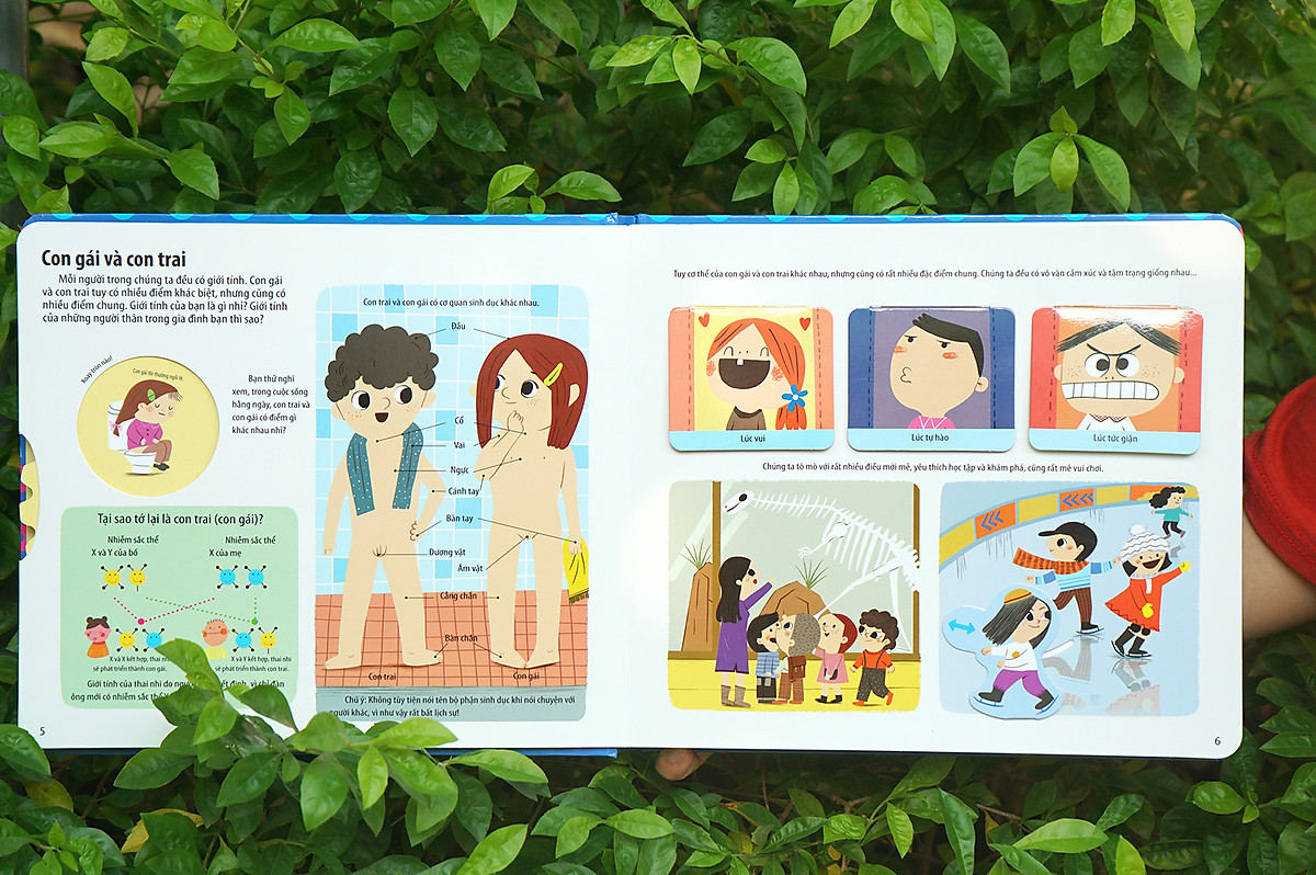 bách khoa kỹ năng sống đa tương tác - những bài học về giới tính giúp con trưởng thành khỏe mạnh