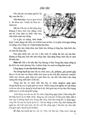 bách khoa những cây thuốc và vị thuốc việt nam