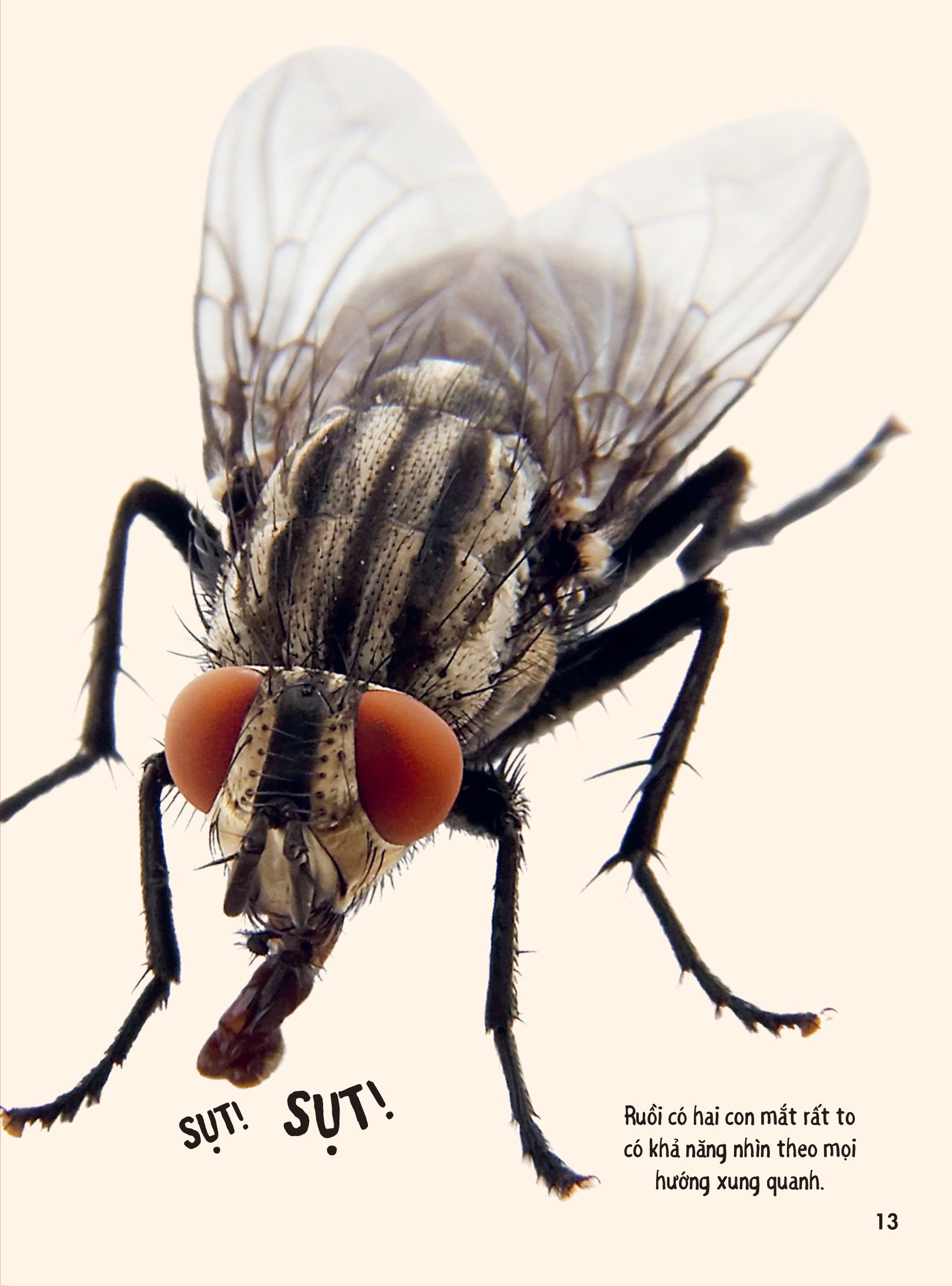 bách khoa thư britannica dành cho trẻ em - cuốn sách khổng lồ giải đáp 100++ câu hỏi tại sao hóc búa