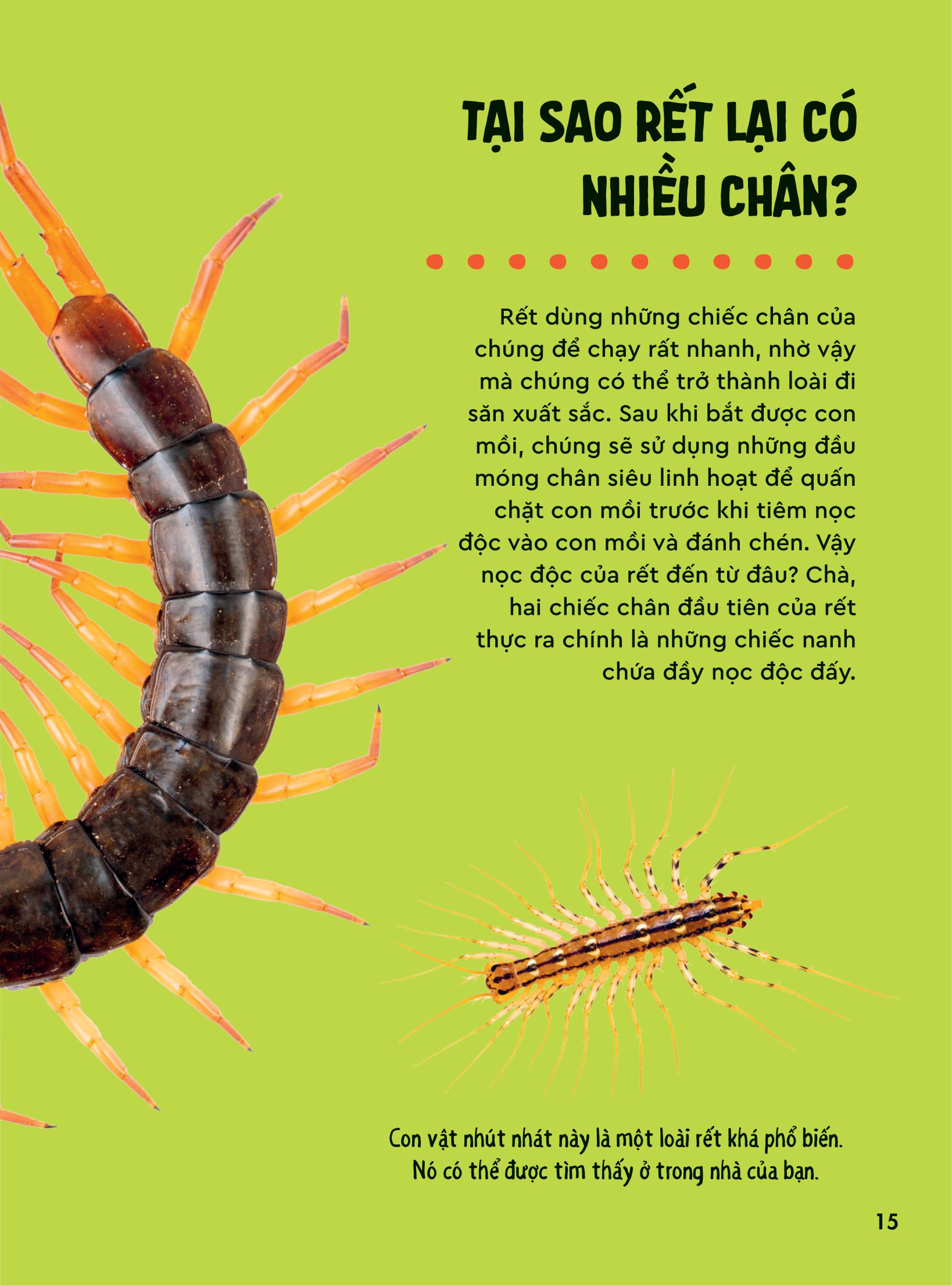 bách khoa thư britannica dành cho trẻ em - cuốn sách khổng lồ giải đáp 100++ câu hỏi tại sao hóc búa