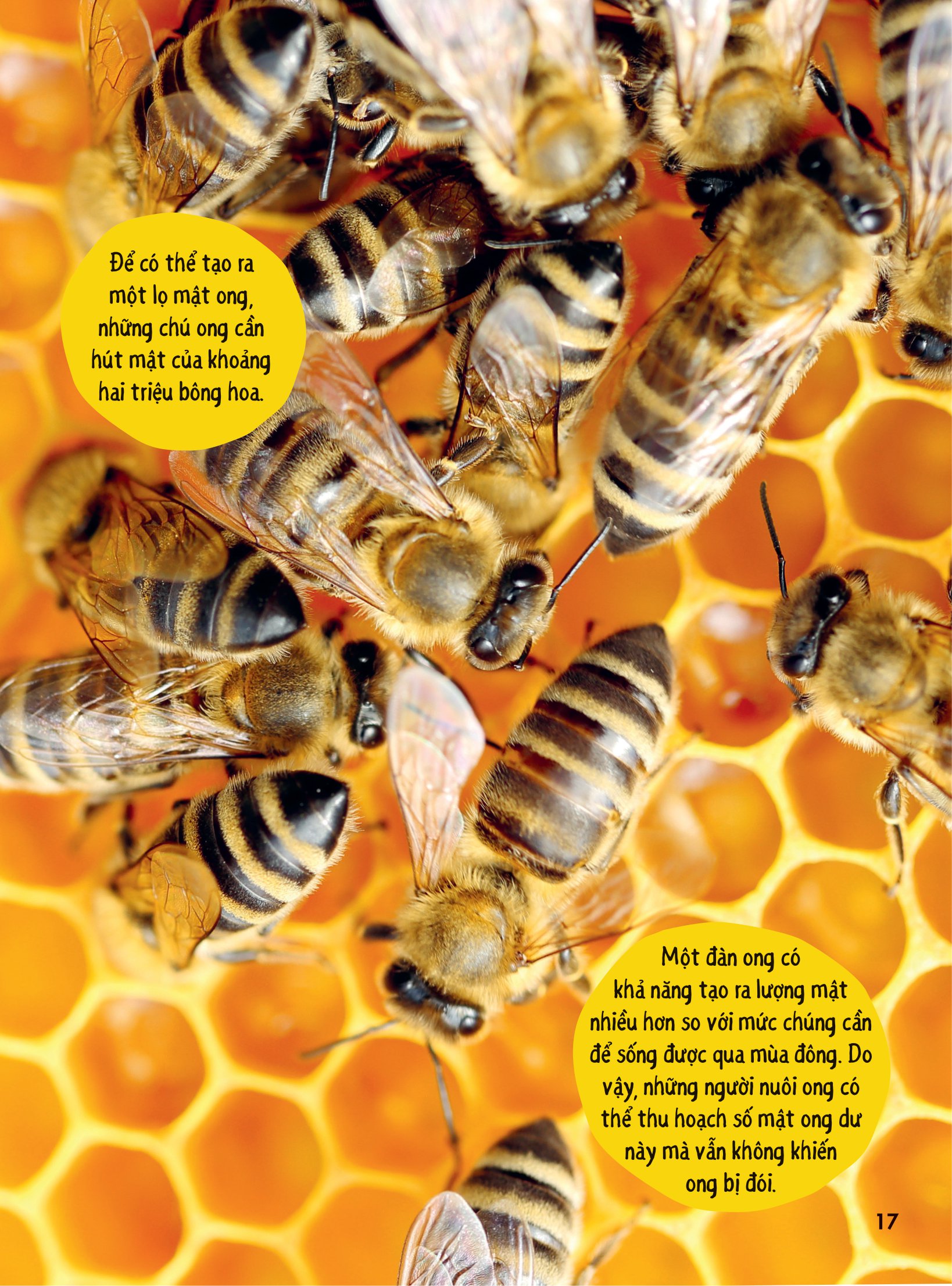 bách khoa thư britannica dành cho trẻ em - cuốn sách khổng lồ giải đáp 100++ câu hỏi tại sao hóc búa