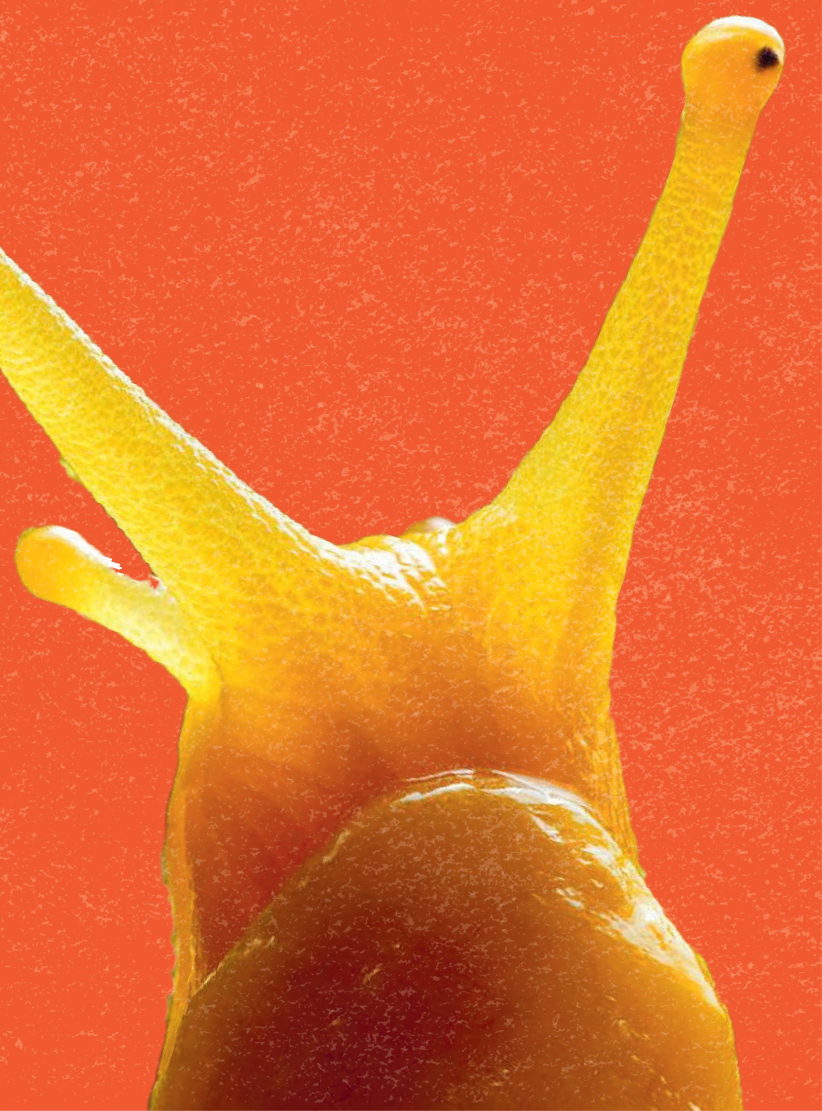 bách khoa thư britannica dành cho trẻ em - cuốn sách khổng lồ giải đáp 100++ câu hỏi tại sao hóc búa