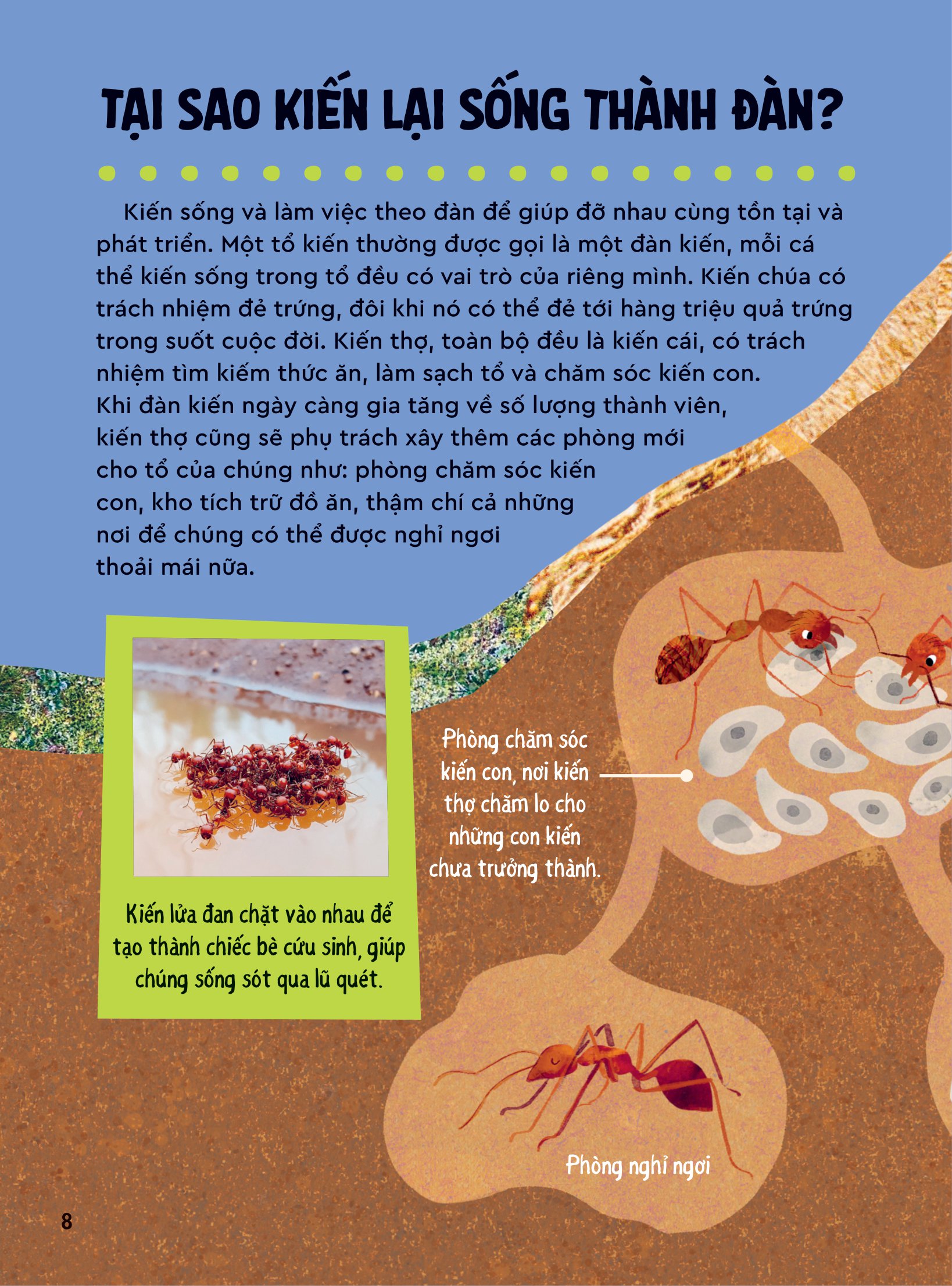 bách khoa thư britannica dành cho trẻ em - cuốn sách khổng lồ giải đáp 100++ câu hỏi tại sao hóc búa