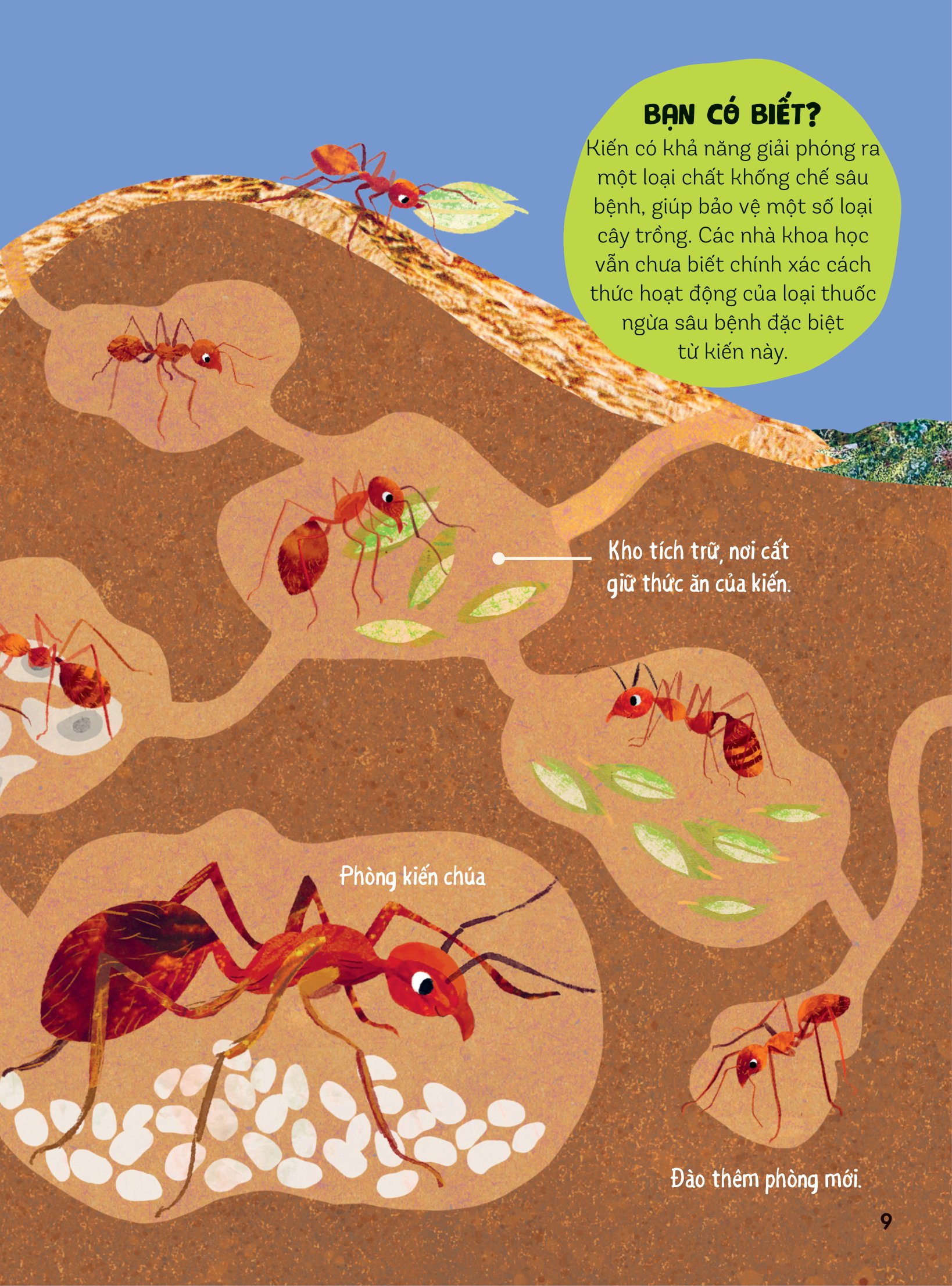 bách khoa thư britannica dành cho trẻ em - cuốn sách khổng lồ giải đáp 100++ câu hỏi tại sao hóc búa