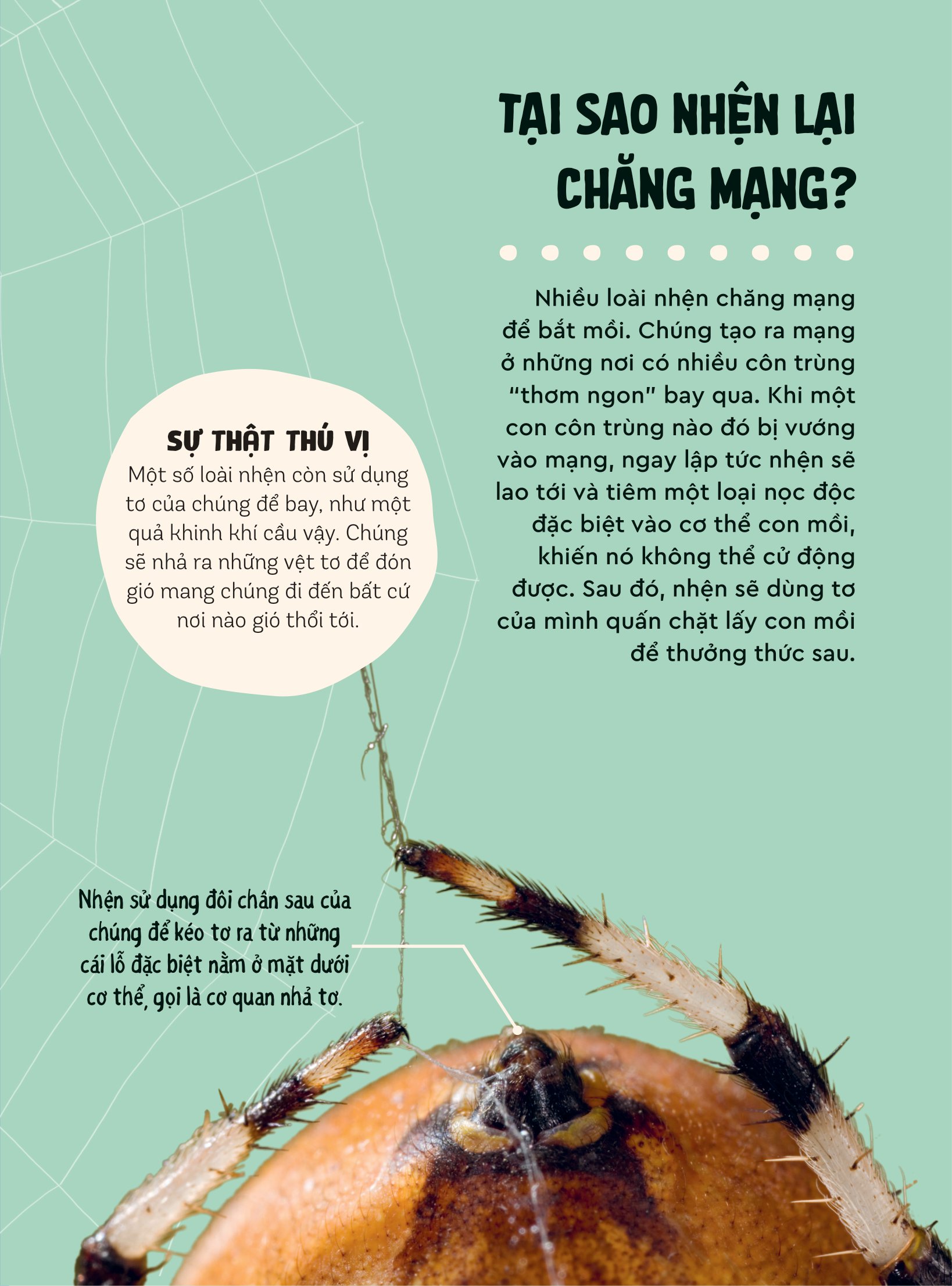 bách khoa thư britannica dành cho trẻ em - cuốn sách khổng lồ giải đáp 100++ câu hỏi tại sao hóc búa