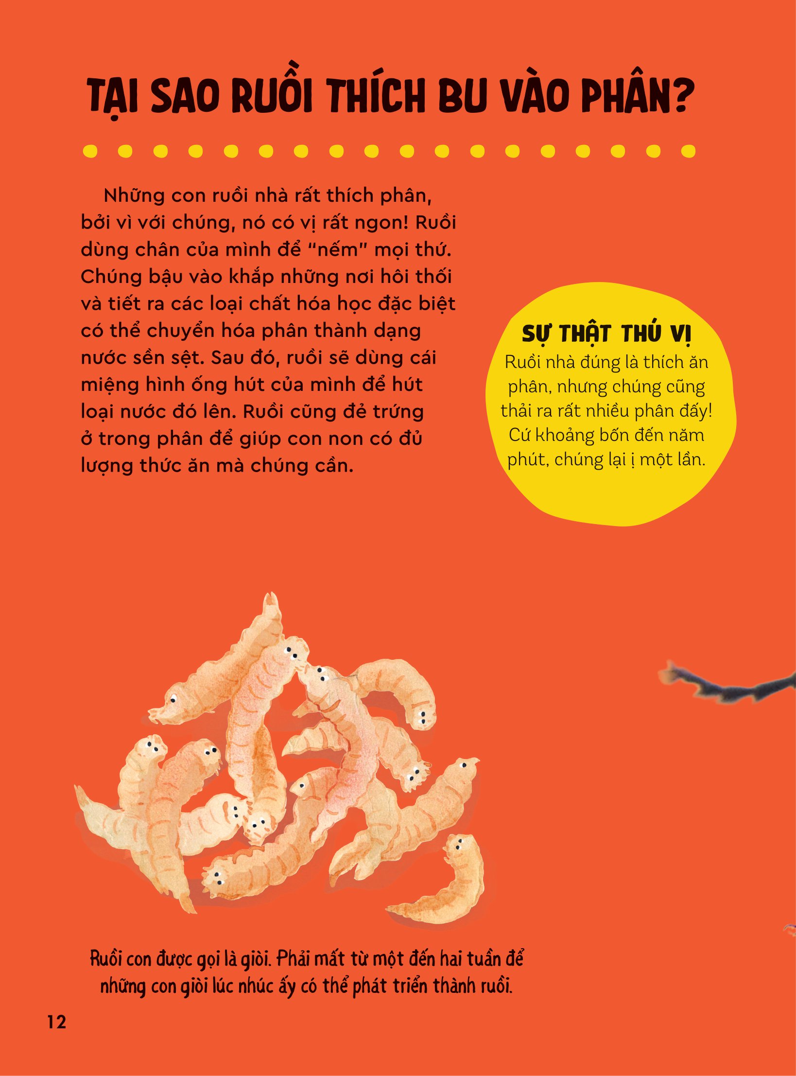 bách khoa thư britannica dành cho trẻ em - cuốn sách khổng lồ giải đáp 100++ câu hỏi tại sao hóc búa