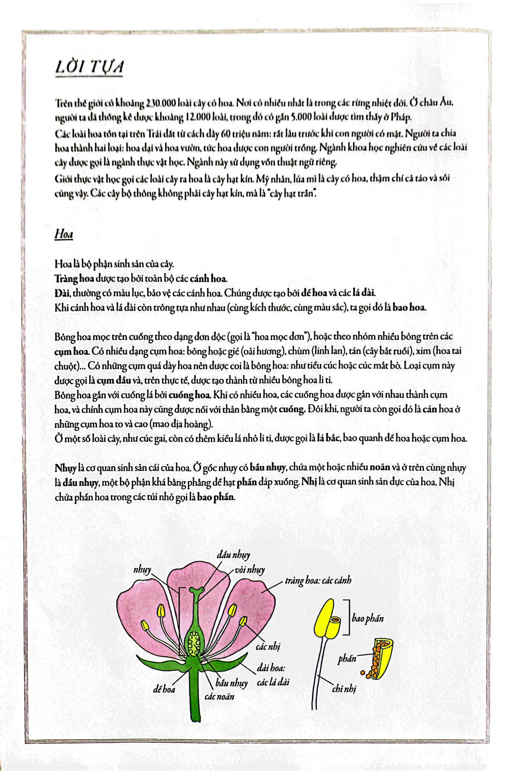 bách khoa thư cho cả nhà - thế giới các loài hoa bằng tranh