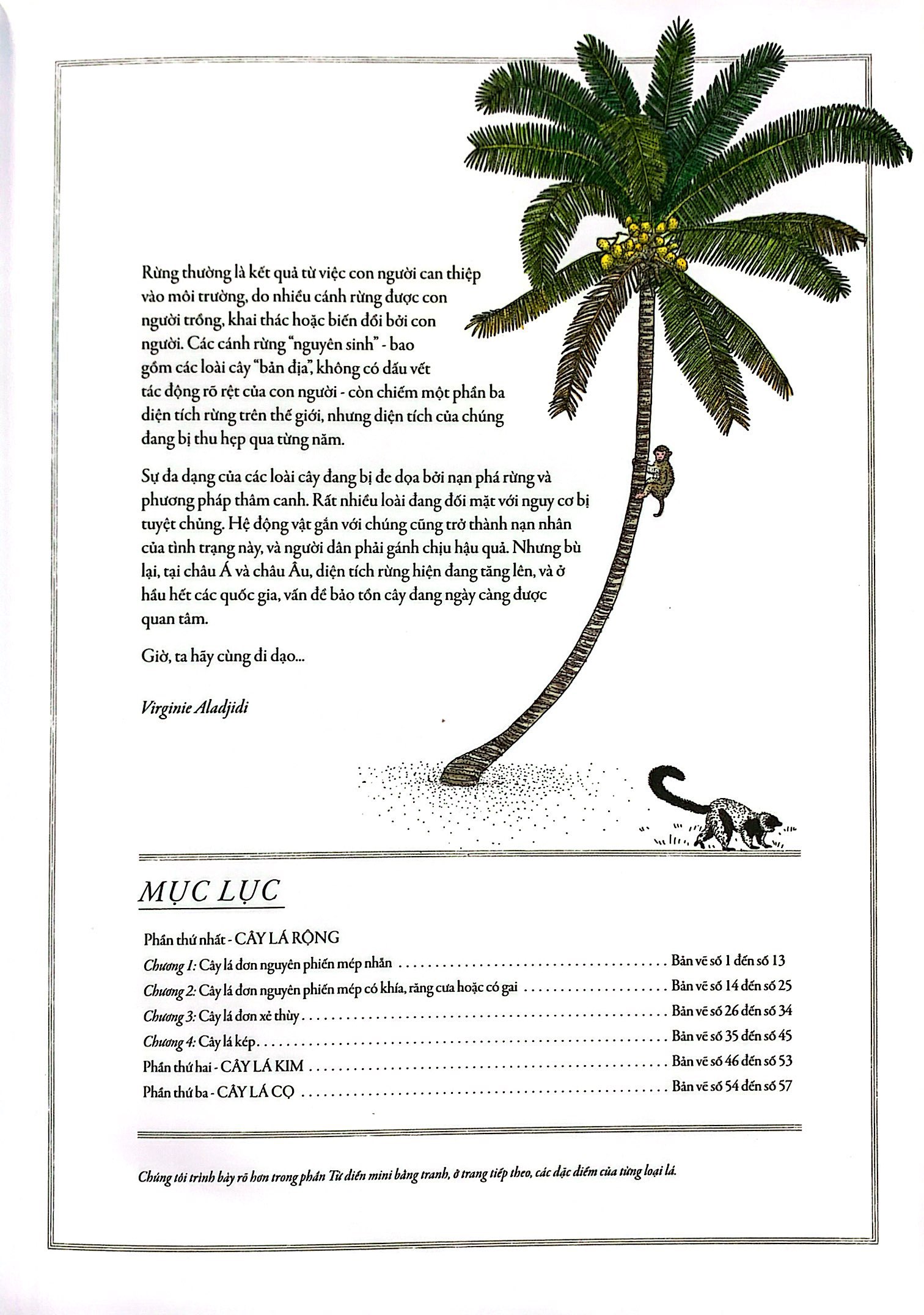 bách khoa thư cho cả nhà - thế giới cây cối bằng tranh