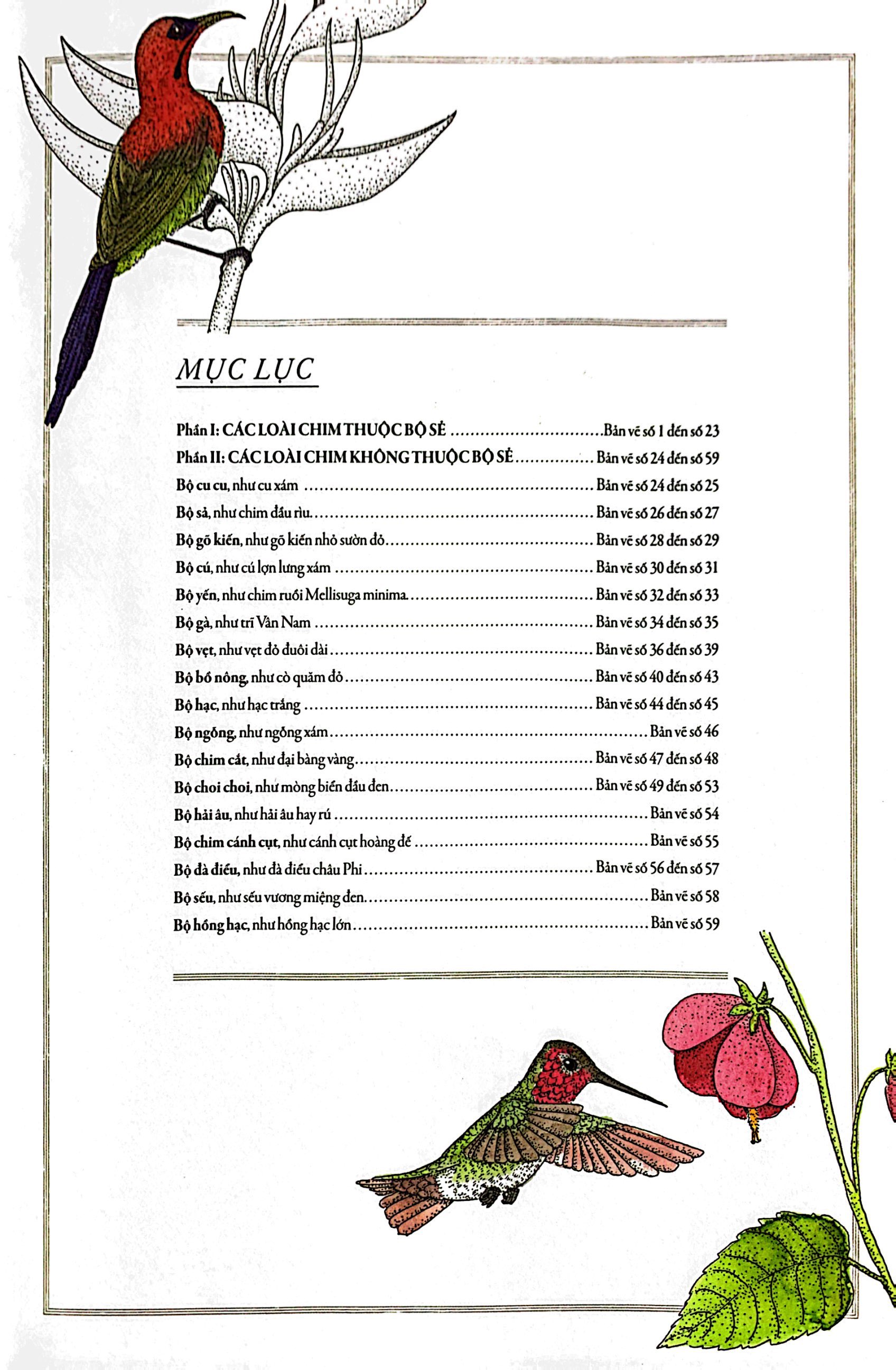 bách khoa thư cho cả nhà - thế giới chim muông bằng tranh